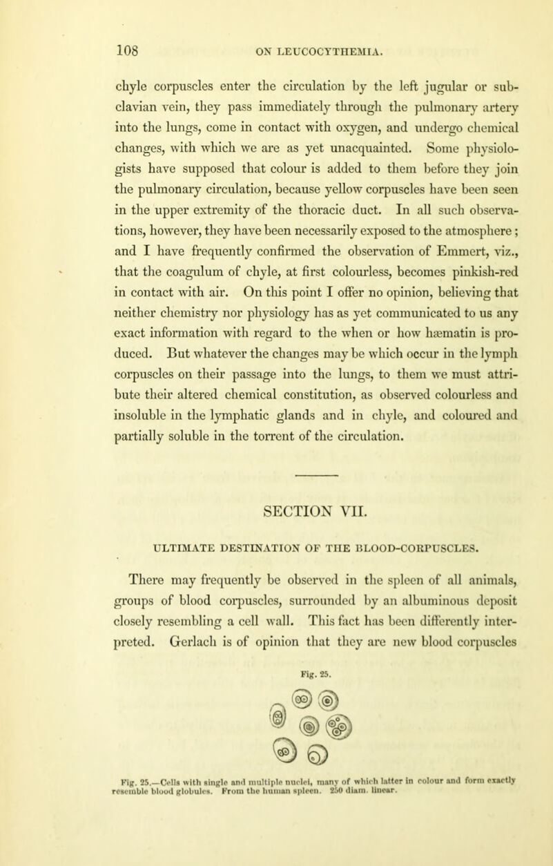 chyle corpuscles enter the circulation by the left jugular or sub- clavian vein, they pass immediately through the pulmonary artery into the lungs, come in contact with oxygen, and undergo chemical changes, with which we are as yet unacquainted. Some physiolo- gists have supposed that colour is added to them before they join the pulmonary circulation, because yellow corpuscles have been seen in the upper extremity of the thoracic duct. In all such observa- tions, however, they have been necessarily exposed to the atmosphere; and I have frequently confirmed the observation of Emmert, 'viz., that the coagulum of chyle, at first colourless, becomes pinkish-red in contact with air. On this point I offer no opinion, believing that neither chemistry nor physiology has as yet communicated to us any exact information with regard to the when or how hsematin is pro- duced. But whatever the changes may be which occur in the lymph corpuscles on their passage into the lungs, to them we must attri- bute their altered chemical constitution, as observed colourless and insoluble in the lymphatic glands and in chyle, and coloured and partially soluble in the torrent of the circulation. ULTIMATE DESTINATION OF TIIE IILOOD-COUPUSCLES. There may frequently be observed in the spleen of all animals, groups of blood corpuscles, surrounded by an albuminous deposit closely resembling a cell wall. This fact has been differently inter- preted. Gerlach is of opinion that they are new blood corpuscles Fin. 25.—Coll* with ainglo anil multiple nuclei, many of which latter In colour and form exactly resemble blood globules. From the human spleen. 250 diam. linear. SECTION VII. Fig. 25.