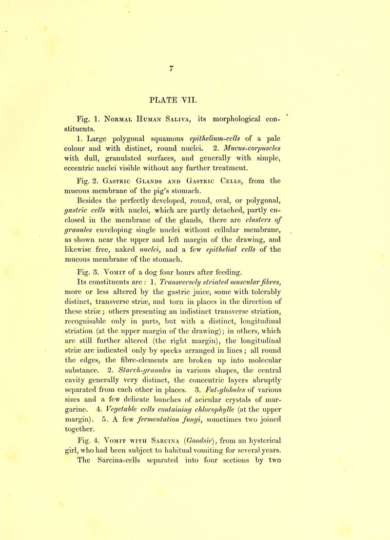 PLATE VII. Pig. 1. Normal Human Saliva, its morphological con- stituents. 1. Large polygonal squamous epithelium-cells of a pale colour and with distinct, round nuclei. 2. Mucus-corpuscles with dull, granulated surfaces, and generally with simple, eccentric nuclei visible without any further treatment. Eig. 2. Gastric Glands and Gastric Cells, from the mucous membrane of the pig’s stomach. Besides the perfectly developed, round, oval, or polygonal, gastric cells with nuclei, which are partly detached, partly en- closed in the membrane of the glands, there are clusters of granules enveloping single nuclei without cellular membrane, as shown near the upper and left margin of the drawing, and likewise free, naked nuclei, and a few epithelial cells of the mucous membrane of the stomach. Fig. 3. Vomit of a dog four hours after feeding. Its constituents are : 1. Transversely striated muscular fibres, more or less altered by the gastric juice, some with tolerably distinct, transverse striae, and torn in places in the direction of these striae; others presenting an indistinct transverse striation, recognisable only in parts, but with a distinct, longitudinal striation (at the upper margin of the drawing); in others, which are still further altered (the right margin), the longitudinal striae are indicated only by specks arranged in lines ; all round the edges, the fibre-elements are broken up into molecular substance. 2. Starch-granules in various shapes, the central cavity generally very distinct, the concentric layers abruptly separated from each other in places. 3. Fat-globules of various sizes and a few delicate hunches of acicular crystals of mar- garine. 4. Vegetable cells containing chlorophylle (at the upper margin). 5. A few fermentation fungi, sometimes two joined together. Fig. 4. Vomit with Sarcina (Goodsir), from an hysterical girl, who had been subject to habitual vomiting for several years. The Sarcina-cells separated into four sections by two