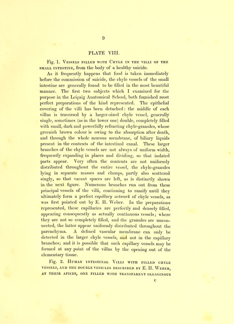 PLATE VIII. Fig. 1. Vessels filled with Chyle in the villi of the small intestine, from the body of a healthy suicide. As it frequently happens that food is taken immediately before the commission of suicide, the chyle vessels of the small intestine are generally found to he filled in the most beautiful manner. The first two subjects which I examined for the purpose in the Leipzig Anatomical School, both furnished most perfect preparations of the kind represented. The epithelial covering of the villi has been detached: the middle of each villus is traversed by a larger-sized chyle vessel, generally single, sometimes (as in the lower one) double, completely filled with small, dark and powerfully refracting chyle-granules, whose greenish brown colour is owing to the absorption after death, and through the whole mucous membrane, of biliary liquids present in the contents of the intestinal canal. These larger branches of the chyle vessels are not always of uniform width, frequently expanding in places and dividing, so that isolated parts appear. Very often the contents are not uniformly distributed throughout the entire vessel, the chyle-granules lying in separate masses and clumps, partly also scattered singly, so that vacant spaces are left, as is distinctly shown in the next figure. Numerous branches run out from these principal vessels of the villi, continuing to ramify until they ultimately form a perfect capillary network of chyle vessels, as was first pointed out by E. H. Weber. In the preparations represented, these capillaries are perfectly and densely filled, appearing consequently as actually continuous vessels; where they are not so completely filled, and the granules are uncon- nected, the latter appear uniformly distributed throughout the parenchyma. A defined vascular membrane can only be detected in the larger chyle vessels, and not in the capillary branches; and it is possible that such capillary vessels may be formed at any point of the villus by the opening out of the elementary tissue. Fig. 2. Human intestinal Villi with filled chyle vessels, and the double vesicles described by E. H. Weber, AT THEIR APICES, ONE FILLED WITH TRANSPARENT OLEAGINOUS C