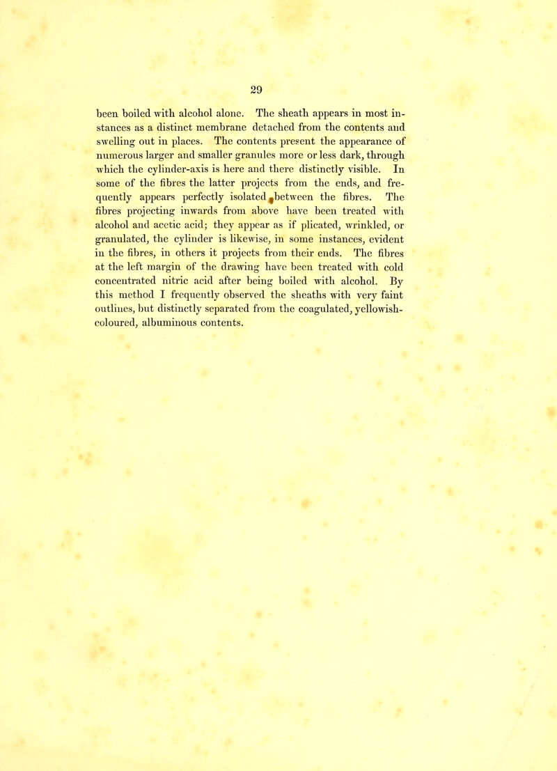 been boiled witb alcobol alone. The sheath appears in most in- stances as a distinct membrane detached from the contents and swelling out in places. The contents present the appearance of numerous larger and smaller granules more or less dark, through which the cylinder-axis is here and there distinctly visible. In some of the fibres the latter projects from the ends, and fre- quently appears perfectly isolated ^between the fibres. The fibres projecting inwards from above have been treated with alcohol and acetic acid; they appear as if plicated, wrinkled, or granulated, the cylinder is likewise, in some instances, evident in the fibres, in others it projects from their ends. The fibres at the left margin of the drawing have been treated with cold concentrated nitric acid after being boiled with alcohol. By this method I frequently observed the sheaths with very faint outlines, but distinctly separated from the coagulated, yellowish- coloured, albuminous contents.