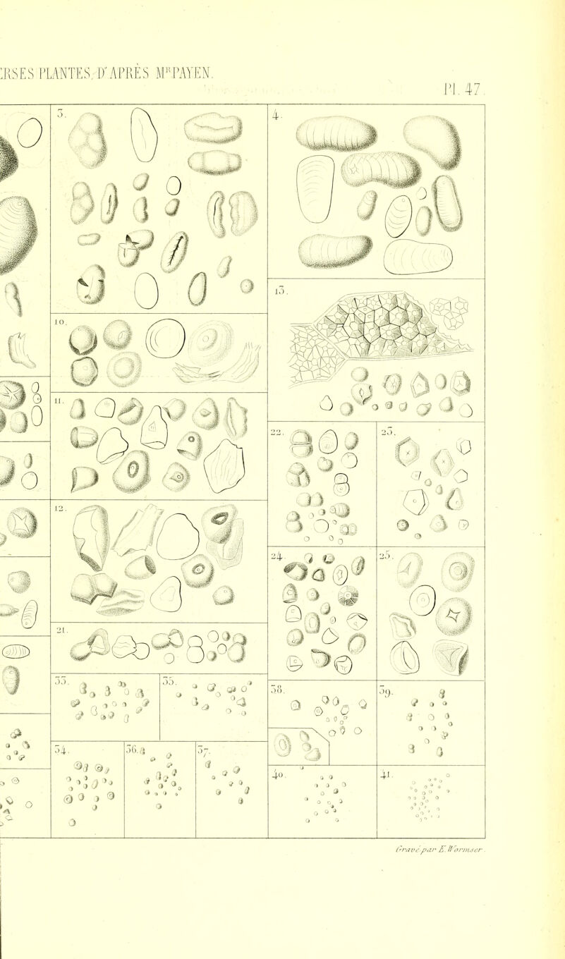 N.47 frravépar E. lEornurer