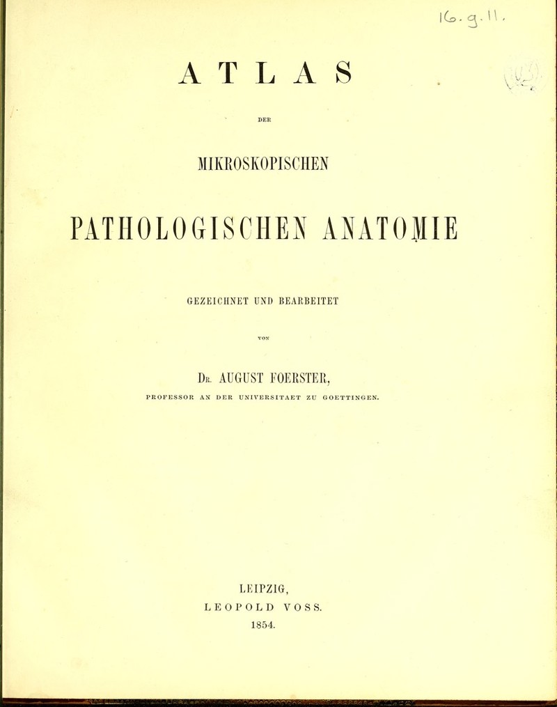 ATLAS |G>.3. MIKROSKOPISCHEN PATHOLOGISCHEN ANATOMIE GEZEICHNET UND BEARBEITET VON Du. AUGUST FOERSTER, PROFESSOR AN DER UNIVERSITAET ZU GOETTINGEN. LEIPZIG, LEOPOLD VOSS. 1854.