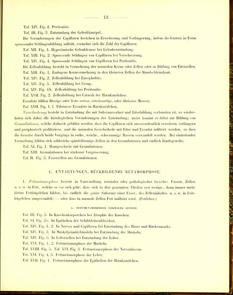 Taf. XIV. Fig. 4. Peritonitis. Tat. III. Fig. 3. Entzündung der Gelenkknorpel. Die Veränderungen der Capillaren bestehen in Erweiterung und Verlängerung, indem die letztere in Form sprossender Schlingenbildung auftritt, vermehrt sich die Zahl der Capillaren. Taf. XII. Fig. 4. Hyperämische Gelenkfranse hei Gelenkentzündung. Taf. XIII. Fig. 2. Sprossende Schlingen von Capillaren hei Verschwärung. Taf. XIV. Fig. 4. Sprossende Schlingen von Capillaren hei Peritonitis. Die Zellenbildung besteht in Vermehrung der normalen Kerne oder Zellen oder in Bildung von Eiterzellen. Taf. XIII. Fig. 1. Endogene Kernvermehrung in den kleinsten Zellen der Mundschleimhaut. Taf. XIV. Fig. 2. Zellenbildung bei Encephalitis. Taf. XIV. Fig. 5. Zellenbildung hei Croup. Taf. XIV. Fig. 4h. Zellenbildung hei Peritonitis. Taf. XVII. Fig. 2. Zellenbildung hei Catarrh der Harnkanälchen. Exsudate bilden flüssige oder feste seröse, eiweissartige, oder fibrinöse Massen. Taf. XVII. Fig. 1. f. Fibrinöse Exsudate in Harnkanälchen. Verschwärung besteht in Entzündung die mit Substanzverlust und Eiterbildung verbunden ist, es wieder- holen sich dabei alle histologischen Veränderungen der Entzündung; meist kommt es dabei zur Bildung von Granulationen, welche dadurch gebildet werden, dass die Capillaren sich ausserordentlich erweitern, verlängern und peripherisch proliferiren, und die normalen Gewebslheilc mit Eiter und Exsudat infillrirt werden, so dass die Gewebe durch beide Vorgänge in rothe, weiche, schwammige Massen verwandelt werden. Bei eintretender Vernarbung bilden sich zahlreiche spindelförmige Zellen in den Granulationen und endlich Bindegewebe. Taf. XI. Fig. 1. Hautgeschwür mit Granulationen. Taf. XIII. Granulationen bei stärkerer Vergrösserung. Taf. II. Fig. 3. Faserzellen aus Granulationen. C. ENTARTUNGEN, RÜCKBILD ENDE METAMORPHOSE. 1. Fettmetamorphose besteht in Umwandlung normaler oder pathologischer Gewebe: Fasern, Zellen u. s. w. in Fett, welche so vor sich geht, dass sich in den genannten Theilen erst wenige, dann immer mehr kleine Fettkügelchen bilden, bis endlich die ganze Substanz einer Faser, des Zelleninhaltes u. s. w. in Fett- kügelchen umgewandelt; — oder dass in normale Zellen Fett infillrirt wird. (Fettleber.) A. FETTMETAMORPHOSE NORMALER GEWEBE. Taf. III. Fig. 5. In Knochenkörperchen bei Atrophie der Knochen. Taf. \ I. Fig. 2 c. In Epithelien der Schilddrüsenbläschen. Taf. XIV. Fig. 1, 2. In Nerven und Capillaren bei Entzündung des Hirns und Rückenmarks. Taf. XIV. Fig. 3. In Muskelprimilivbündeln bei Entzündung der Muskeln. Taf. XIV. Fig. (3. In Leberzellen bei Entzündung der Leber. Taf. XVI. Fig. 1,2. Fettmetamorphose der Muskeln. Taf. XVIII. Fig. 5. Taf. XVI. Fig. 3. Fettmetamorphose der Nervenfasern. Taf. XVI. Fig. 4, 5. Fettmetamorphose der Leber. Taf. XVII. füg. 1. Fettmetamorphose der Epithelien der Harnkanälchen.