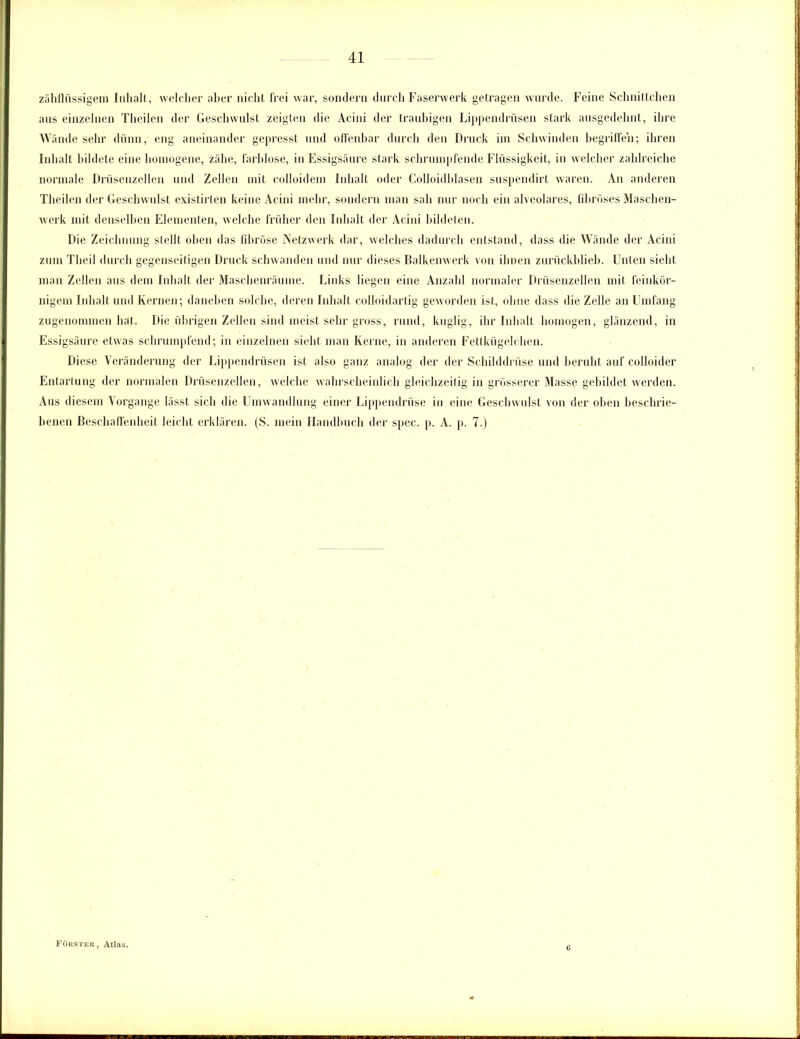 zähflüssigem Inhalt, welcher aber nicht frei war, sondern durch Faserwerk getragen wurde. Feine Schnittchen aus einzelnen Theilen der Geschwulst zeigten die Acini der traubigen Lippendrüsen stark ausgedehnt, ihre Wände sehr dünn, eng aneinander gepresst und offenbar durch den Druck im Schwinden begriffen; ihren Inhalt bildete eine homogene, zähe, farblose, in Essigsäure stark schrumpfende Flüssigkeit, in welcher zahlreiche normale Drüsenzellen und Zellen mit colloidem Inhalt oder Colloidblasen suspendirt waren. An anderen Theilen der Geschwulst existirten keine Acini mehr, sondern man sah nur noch ein alveolares, libröses Maschen- werk mit denselben Elementen, welche früher den Inhalt der Acini bildeten. Die Zeichnung stellt oben das fibröse Netzwerk dar, welches dadurch entstand, dass die Wände der Acini zum Theil durch gegenseitigen Druck schwanden und nur dieses Balkenwerk von ihnen zurückblieb. Unten sieht man Zellen aus dem Inhalt der Maschenräume. Links liegen eine Anzahl normaler Drüsenzellen mit feinkör- nigem Inhalt und Kernen; daneben solche, deren Inhalt colloidartig geworden ist, ohne dass die Zelle an Umfang zugenommen hat. Die übrigen Zellen sind meist sehr gross, rund, kuglig, ihr Inhalt homogen, glänzend, in Essigsäure etwas schrumpfend; in einzelnen sieht man Kerne, in anderen Fettkügelchen. Diese Veränderung der Lippendrüsen ist also ganz analog der der Schilddrüse und beruht auf colloider Entartung der normalen Drüsenzellen, welche wahrscheinlich gleichzeitig in grösserer Masse gebildet werden. Aus diesem Vorgänge lässt sich die Umwandlung einer Lippendrüse in eine Geschwulst von der oben beschrie- benen Beschaffenheit leicht erklären. (S. mein Handbuch der spec. p. A. p. 7.) Förster, Atlas.