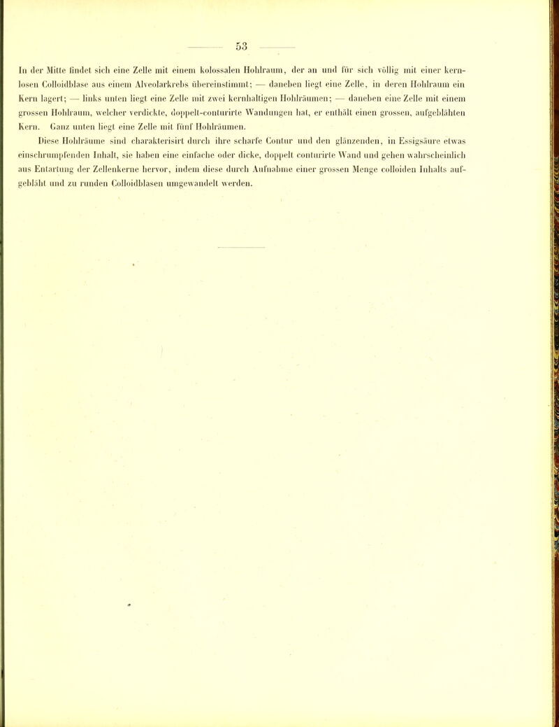 In der Mitte findet sich eine Zelle mit einem kolossalen Hohlraum, der an und für sich völlig mit einer kern- losen Colloidhlase aus einem Alveolarkrebs übereinstimmt; — daneben liegt eine Zelle, in deren Hohlraum ein Kern lagert; — links unten liegt eine Zelle mit zwei kernhaltigen Hohlräumen; — daneben eine Zelle mit einem grossen Hohlraum, welcher verdickte, doppelt-conlurirte Wandungen hat, er enthält einen grossen, aufgeblähten Kern. Ganz unten liegt eine Zelle mit fünf Hohlräumen. Diese Hohlräume sind charakterisirt durch ihre scharfe Contur und den glänzenden, in Essigsäure etwas einschrumpfenden Inhalt, sie haben eine einfache oder dicke, doppelt conturirte Wand und gehen wahrscheinlich aus Entartung der Zellenkerne hervor, indem diese durch Aufnahme einer grossen Menge colloiden Inhalts auf- gebläht und zu runden Colloidblasen umgewandelt werden.