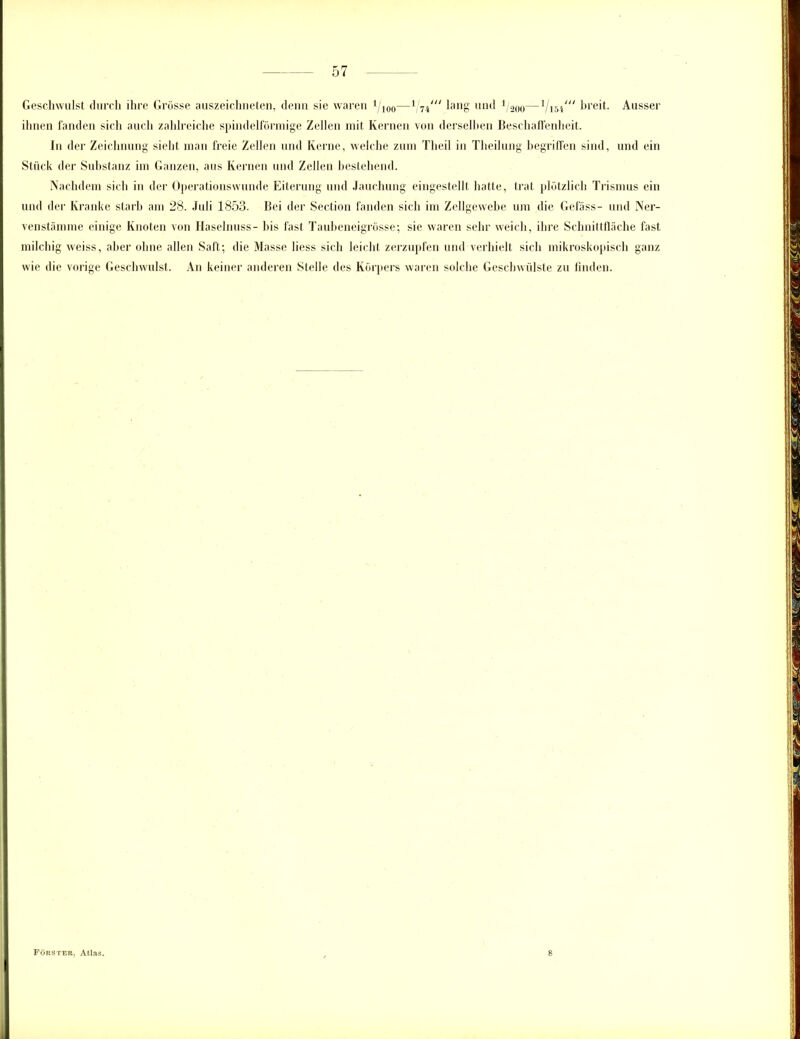 Geschwulst durch ihre Grüsse auszeichneten, denn sie waren 1/100—1 j7ini lang und 1/200—1/154/// breit. Ausser ihnen fanden sich auch zahlreiche spindelförmige Zellen mit Kernen von derselben Beschaffenheit. In der Zeichnung sieht man freie Zellen und Kerne, welche zum Theil in Theilung begriffen sind, und ein Stück der Substanz im Ganzen, aus Kernen und Zellen bestehend. Nachdem sich in der Operationswunde Eiterung und Jauchung eingestellt hatte, trat plötzlich Trismus ein und der Kranke starb am 28. Juli 1853. Bei der Section fanden sich im Zellgewebe um die Gefäss- und Ner- venstämme einige Knoten von Haselnuss- bis fast Taubeneigrösse; sie waren sehr weich, ihre Schnittfläche fast milchig weiss, aber ohne allen Saft; die Masse liess sich leicht zerzupfen und verhielt sich mikroskopisch ganz wie die vorige Geschwulst. An keiner anderen Stelle des Körpers waren solche Geschwülste zu finden. Förster, Atlas. 8