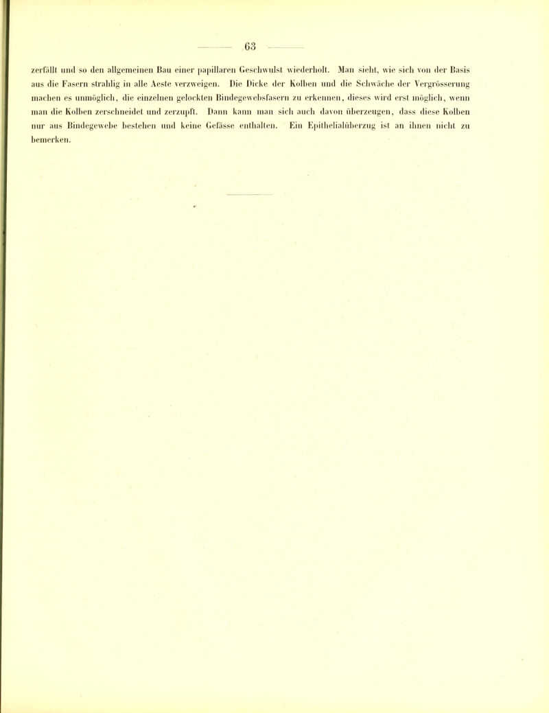 zerfällt und so den allgemeinen Bau einer papillären Geschwulst wiederholt. Man sieht, wie sich von der Basis aus die Fasern strahlig in alle Aeste verzweigen. Die Dicke der Kolben und die Schwäche der Vergrösserung machen es unmöglich, die einzelnen gelockten Bindegewebsfasern zu erkennen, dieses wird erst möglich, wenn man die Kolben zerschneidet und zerzupft. Dann kann man sich auch davon überzeugen, dass diese Kolben nur aus Bindegewebe bestehen und keine Gelasse enthalten. Ein Epithelialüberzug ist an ihnen nicht zu bemerken.
