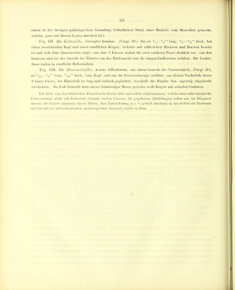 einem in der hiesigen pathologischen Sammlung befindlichen Stück eines Muskels vom Menschen gemacht, welches ganz mit diesen Cysten durchsät ist.) Fig. XII. Die Krätzmilbe, Sarcoptes hominis. (Vergr. 30.) Sie ist 1j5—l/i‘“ lang, J/7—l/6' breit, hat einen vorstehenden Kopf und einen rundlichen Körper, welcher mit zahlreichen Höckern und Borsten besetzt ist und viele feine Querstreifen zeigt; von den 8 Füssen stehen die zwei vorderen Paare deutlich vor, von den hinteren sind bei der Ansicht des Thieres von der Kückenseite nur die langen Endborsten sichtbar. Die Vorder- lasse enden in rundliche Haftscheiben. Fig. XIH. Die Haarsackmilbe, Acarus folliculorum, aus einem Comedo des Nasenwinkels, (Vergr. 30), ist 1 io—1/8' lang, 1 50' breit, vom Kopf sind nur die Fresswerkzeuge sichtbar, am dicken Vorderleib sitzen 8 kurze Fiisse; der Hinterleib ist lang und vielfach gegliedert, wesshalb die Ränder fein sägeartig eingekerbt erscheinen. Im Leib bemerkt man ausser feinkörniger Masse grössere ovale Körper mit scharfen Conturen. Ich habe von den thierischen Parasiten in diesen Atlas nur solche aufgenommen, welche ohne mikroskopische Untersuchung nicht mit Sicherheit erkannt werden können; die gegebenen Abbildungen sollen nur zur Diagnose dienen, die feinere Anatomie dieser Thiere, ihre Entwickelung u. s. w. gehört durchaus in das Gebiet der Zootomie und hat mit der mikroskopischen, pathologischen Anatomie nichts zu thun.