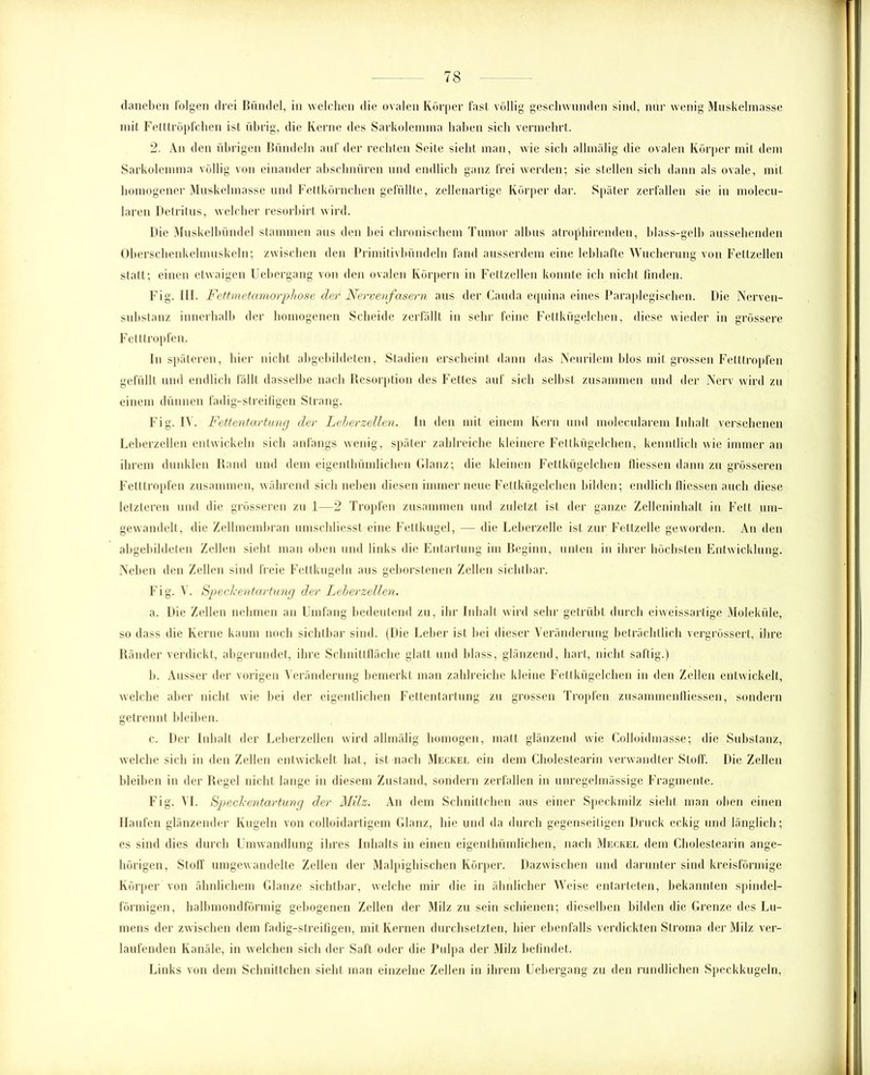 daneben folgen drei Bündel, in welchen die ovalen Körper fast völlig geschwunden sind, nur wenig Muskelmasse mit Fetttröpfchen ist übrig, die Kerne des Sarkolemma haben sich vermehrt. 2. An den übrigen Bündeln auf der rechten Seite sieht man, wie sich allmälig die ovalen Körper mit dem Sarkolemma völlig von einander abschnüren und endlich ganz frei werden; sie stellen sich dann als ovale, mit homogener Muskelmasse und Fettkörnchen gefüllte, zellenartige Körper dar. Später zerfallen sie in molecu- laren Detritus, welcher resorbirt wird. Die Muskelbündel stammen aus den bei chronischem Tumor albus atropbirenden, blass-gelb aussehenden Oberschenkelmuskeln; zwischen den Primitivbündeln fand ausserdem eine lebhafte Wucherung von Fettzellen statt; einen etwaigen Uebergang von den ovalen Körpern in Fettzellen konnte ich nicht finden. Fig. III. Fettmetamorphose der* Nervenfasern aus der Cauda equina eines Paraplegischen. Die Nerven- substanz innerhalb der homogenen Scheide zerfällt in sehr feine Fettkügelchen, diese wieder in grössere Fetttropfen. In späteren, hier nicht abgebildeten, Stadien erscheint dann das Neurilem blos mit grossen Fetttropfen gefüllt und endlich fällt dasselbe nach Resorption des Fettes auf sich selbst zusammen und der Nerv wird zu einem dünnen fadig-streifigen Strang. Fig. IV. Fettentartung der Leberzellen. In den mit einem Kern und molecularem Inhalt versehenen Leberzellen entwickeln sich anfangs wenig, später zahlreiche kleinere Fettkügelchen, kenntlich wie immer an ihrem dunklen Rand und dem eigentbümlichen Glanz; die kleinen Fettkügelchen fliessen dann zu grösseren Fetttropfen zusammen, während sich neben diesen immer neue Fettkügelchen bilden; endlich fliessen auch diese letzteren und die grösseren zu 1—2 Tropfen zusammen und zuletzt ist der ganze Zelleninhalt in Fett um- gewandelt, die Zellmembran umschliesst eine Fettkugel, — die Leberzelle ist zur Fettzelle geworden. An den abgebildeten Zellen siebt man oben und links die Entartung im Beginn, unten in ihrer höchsten Entwicklung. Neben den Zellen sind freie Fettkugeln aus geborstenen Zellen sichtbar. Fig. V. Speckentartung der Leberzellen. a. Die Zellen nehmen an Umfang bedeutend zu, ihr Inhalt wird sehr getrübt durch eiweissartige Moleküle, so dass die Kerne kaum noch sichtbar sind. (Die Leber ist bei dieser Veränderung beträchtlich vergrössert, ihre Ränder verdickt, abgerundet, ihre Schnittfläche glatt und blass, glänzend, hart, nicht saftig.) b. Ausser der vorigen Veränderung bemerkt man zahlreiche kleine Fettkügelchen in den Zellen entwickelt, welche aber nicht wie bei der eigentlichen Fettentartung zu grossen Tropfen zusammenfliessen, sondern getrennt bleiben. c. Der Inhalt der Leberzellen wird allmälig homogen, matt glänzend wie Colloidmasse; die Substanz, welche sich in den Zellen entwickelt hat, ist nach Meckel ein dem Cholestearin verwandter Stoff. Die Zellen bleiben in der Regel nicht lange in diesem Zustand, sondern zerfallen in unregelmässige Fragmente. Fig. VI. Speckentartung der Milz. An dem Schnittchen aus einer Speckmilz sieht man oben einen Haufen glänzender Kugeln von colloidartigem Glanz, hie und da durch gegenseitigen Druck eckig und länglich; es sind dies durch Umwandlung ihres Inhalts in einen eigentbümlichen, nach Meckel dem Cholestearin ange- hörigen, Stoff umgewandelte Zellen der Malpigliischen Körper. Dazwischen und darunter sind kreisförmige Körper von ähnlichem Glanze sichtbar, welche mir die in ähnlicher Weise entarteten, bekannten spindel- förmigen, halbmondförmig gebogenen Zellen der Milz zu sein schienen; dieselben bilden die Grenze des Lu- mens der zwischen dem fadig-streifigen, mit Kernen durchsetzten, hier ebenfalls verdickten Stroma der Milz ver- laufenden Kanäle, in welchen sich der Saft oder die Pulpa der Milz befindet. Links von dem Schnittchen sieht man einzelne Zellen in ihrem Uebergang zu den rundlichen Speckkugeln,