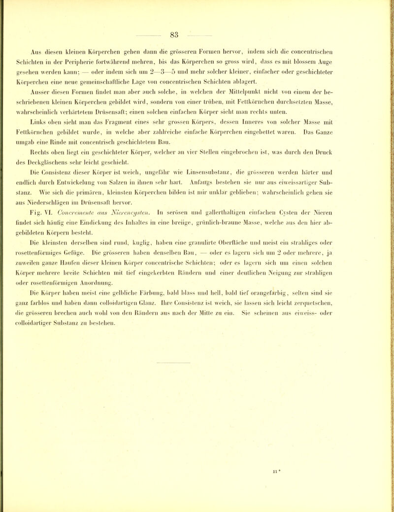 Aus diesen kleinen Körperchen gehen dann die grösseren Formen hervor, indem sich die concentrischen Schichten in der Peripherie fortwährend mehren, bis das Körperchen so gross wird, dass es mit blossem Auge gesehen werden kann; — oder indem sich um 2—3—5 und mehr solcher kleiner, einfacher oder geschichteter Körperchen eine neue gemeinschaftliche Lage von concentrischen Schichten ahlagert. Ausser diesen Formen findet man aber auch solche, in welchen der Mittelpunkt nicht von einem der be- schriebenen kleinen Körperchen gebildet wird, sondern von einer trüben, mit Fettkörnchen durchsetzten Masse, wahrscheinlich verhärtetem Drüsensaft; einen solchen einfachen Körper sieht man rechts unten. Links oben sieht man das Fragment eines sehr grossen Körpers, dessen Inneres von solcher Masse mit Fettkörnchen gebildet wurde, in welche aber zahlreiche einfache Körperchen eingebettet waren. Das Ganze umgab eine Rinde mit concentrisch geschichtetem Bau. Rechts oben liegt ein geschichteter Körper, welcher an vier Stellen eingebrochen ist, was durch den Druck des Deckgläschens sehr leicht geschieht. Die Konsistenz dieser Körper ist weich, ungefähr wie Linsensubstanz, die grösseren werden härter und endlich durch Entwickelung von Salzen in ihnen sehr hart. Anfangs bestehen sie nur aus eiweissartiger Sub- stanz. Wie sich die primären, kleinsten Körperchen bilden ist mir unklar gehliehen; wahrscheinlich gehen sie aus Niederschlägen im Drüsensaft hervor. Fig. VI. Goncremente aus Nierencysten. In serösen und gallerthaltigen einfachen Cysten der Nieren findet sich häufig eine Eindickung des Inhaltes in eine breiige, grünlich-braune Masse, welche aus den hier ab- gebildeten Körpern besteht. Die kleinsten derselben sind rund, kuglig, haben eine granulirte Oberfläche und meist ein strahliges oder rosettenförmiges Gefüge. Die grösseren haben denselben Bau, — oder es lagern sich um 2 oder mehrere, ja zuweilen ganze Haufen dieser kleinen Körper concentrische Schichten; oder es lagern sich um einen solchen Körper mehrere breite Schichten mit tief eingekerbten Rändern und einer deutlichen Neigung zur strahligen oder rosettenförmigen Anordnung. Die Körper haben meist eine gelbliche Färbung, bald blass und hell, bald tief orangefarbig, selten sind sie ganz farblos und haben dann colloidartigen Glanz. Ihre Konsistenz ist weich, sie lassen sich leicht zerquetschen, die grösseren brechen auch wohl von den Rändern aus nach der Mitte zu ein. Sie scheinen aus eiweiss- oder colloidartiger Substanz zu bestehen. n