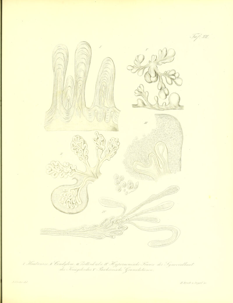 Y/lZ? // . /// , , r/^/y/syy/. y. /F ////r/,,,'////■ sr//, ■ ?>y//y\, y/f'-y t // ///yyy/y '/y'/z/^yj /. -_ ^y/yy/y yy'///, y, ■/, ^/ 'S? ?////// Z/y > s/y y e 'f// . 7 /Za/sS ././;' ./„■,/,/ Z/ 6‘ryyr/y //. ZJryy. /Z sr.