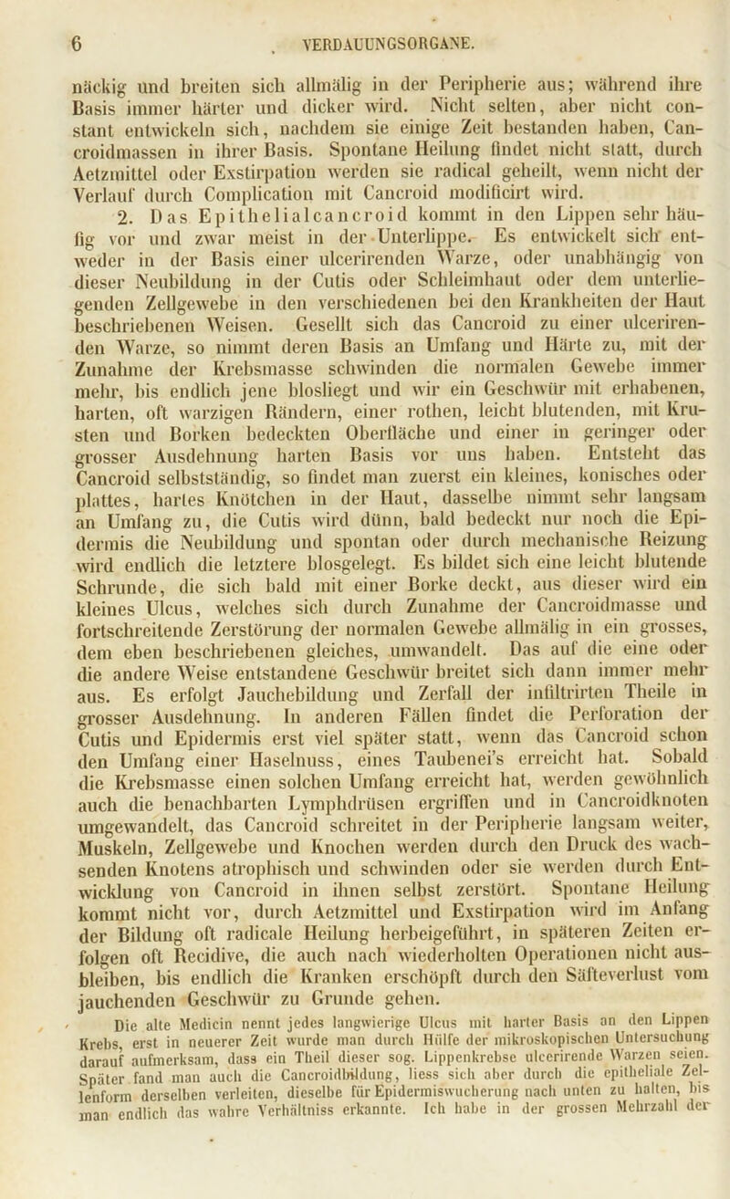 nackig und breiten sieb allmälig in der Peripherie aus; während ihre Basis immer härter und dicker wird. Nicht selten, aber nicht con- stant entwickeln sich, nachdem sie einige Zeit bestanden haben, Can- croidmassen in ihrer Basis. Spontane Heilung findet nicht statt, durch Aetzmittel oder Exstirpation werden sie radical geheilt, wenn nicht der Verlauf durch Complication mit Cancroid modificirt wird. 2. Das Epithelialcancroid kommt in den Lippen sehr häu- fig vor und zwar meist in der Unterlippe. Es entwickelt sich ent- weder in der Basis einer ulcerirenden Warze, oder unabhängig von dieser Neubildung in der Cutis oder Schleimhaut oder dem unterlie- genden Zellgewebe in den verschiedenen bei den Krankheiten der Haut beschriebenen Weisen. Gesellt sich das Cancroid zu einer ulceriren- den Warze, so nimmt deren Basis an Umfang und Härte zu, mit der Zunahme der Krebsmasse schwinden die normalen Gewebe immer mehr, bis endlich jene biosliegt und wir ein Geschwür mit erhabenen, barten, oft warzigen Rändern, einer rothen, leicht blutenden, mit Kru- sten und Borken bedeckten Oberfläche und einer in geringer oder grosser Ausdehnung harten Basis vor uns haben. Entsteht das Cancroid selbstständig, so findet man zuerst ein kleines, konisches oder plattes, hartes Knötchen in der Haut, dasselbe nimmt sehr langsam an Umfang zu, die Cutis wird dünn, bald bedeckt nur noch die Epi- dermis die Neubildung und spontan oder durch mechanische Reizung wird endlich die letztere biosgelegt. Es bildet sieb eine leicht blutende Schrunde, die sich bald mit einer Borke deckt, aus dieser wird ein kleines Ulcus, welches sich durch Zunahme der Cancroidmasse und fortschreitende Zerstörung der normalen Gewebe allmälig in ein grosses, dem eben beschriebenen gleiches, umwandelt. Das auf die eine oder die andere Weise entstandene Geschwür breitet sieb dann immer mehr aus. Es erfolgt Jauchebildung und Zerfall der inültrirten Theile in grosser Ausdehnung, ln anderen Fällen findet die Perforation der Cutis und Epidermis ei’st viel später statt, wenn das Cancroid schon den Umfang einer Haselnuss, eines Taubenei’s erreicht bat. Sobald die Krebsmasse einen solchen Umfang erreicht hat, werden gewöhnlich auch die benachbarten Lymphdrüsen ergriffen und in Cancroidknoten umgewandelt, das Cancroid schreitet in der Peripherie langsam weiter, Muskeln, Zellgewebe und Knochen werden durch den Druck des wach- senden Knotens atrophisch und schwinden oder sie werden durch Ent- wicklung von Cancroid in ihnen selbst zerstört. Spontane Heilung kommt nicht vor, durch Aetzmittel und Exstirpation wird im Anlang der Bildung oft radicale Heilung herbeigeführt, in späteren Zeiten er- folgen oft Recidive, die auch nach wiederholten Operationen nicht aus- bleiben, bis endlich die Kranken erschöpft durch den Säfteverlust vom jauchenden Geschwür zu Grunde gehen. Die alte Medicin nennt jedes langwierige Ulcus mit harter Basis an den Lippen Krebs erst in neuerer Zeit wurde man durch Hülfe der mikroskopischen Untersuchung darauf aufmerksam, dass ein Theil dieser sog. Lippenkrebse ulcerirende Warzen seien. Später fand man auch die Cancroidbildung, liess sich aber durch die epitheliale Zel- lenform derselben verleiten, dieselbe für Epidermiswucherung nach unten zu halten, bis man endlich das wahre Verhältniss erkannte. Ich habe in der grossen Mehrzahl der
