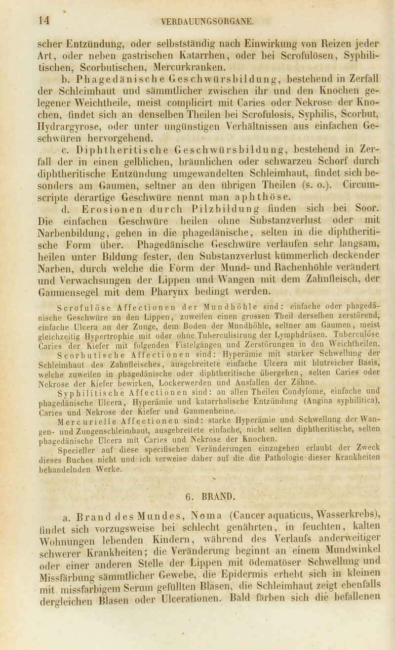 scher Entzündung, oder selbstständig nach Einwirkung von Reizen jeder Art, oder neben gastrischen Katarrhen, oder hei Scrofulüsen, Syphili- tischen, Scorbutischen, Mercurkranken. h. Phagedänische Geschwürsbildung, bestehend in Zerfall der Schleimhaut und sämmtlicher zwischen ihr und den Knochen ge- legener Weichtheile, meist complicirt mit Caries oder Nekrose der Kno- chen, findet sich an denselben Theilen hei Scrofulosis, Syphilis, Scorbut, Hydrargyrose, oder unter ungünstigen Verhältnissen aus einfachen Ge- schwüren hervorgehend. c. Diphtheri tische Geschwürs hi ldung, bestehend in Zer- fall der in einen gelblichen, bräunlichen oder schwarzen Schorf durch diphtheritische Entzündung umgewandelten Schleimhaut, findet sich be- sonders am Gaumen, seltner an den übrigen Theilen (s. o.). Circum- scripte derartige Geschwüre nennt man aphthöse. d. Erosionen durch Pilzbildung finden sich hei Soor. Die einfachen Geschwüre heilen ohne Substanzverlust oder mit Narbenbildung, gehen in die phagedänische, selten in die diphtheriti- sche Form über. Phagedänische Geschwüre verlaufen sehr langsam, heilen unter Bildung fester, den Substanzverlust kümmerlich deckender Narben, durch welche die Form der Mund- und Rachenhöhle verändert und Verwachsungen der Lippen und W angen mit dem Zahnfleisch, der Gaumensegel mit dem Pharynx bedingt werden. Scrofulöse Affectioncn der Mundhöhle sind: einfache oder phagedä- nische Geschwüre an den Lippen, zuweilen einen grossen Theil derselben zerstörend, einfache Uleera an der Zunge, dem Boden der Mundhöhle, seltner am Gaumen, meist gleichzeitig Hypertrophie mit oder ohne Tuberculisirung der Lymphdrüsen. Tuberculöse Caries der Kiefer mit folgenden Fislelgängcn und Zerstörungen in den Weichtheilen. Scorbu tische Affectioncn sind: Hyperämie mit starker Schwellung der Schleimhaut des Zahnfleisches, ausgebreitete einfache Uleera mit blutreicher Basis, welche zuweilen in phagedänische oder diphtheritische übergehen, selten Caries oder Nekrose der Kiefer bewirken, Lockerwerden und Ausfallen der Zähne. Syphilitische Affectioncn sind: an allen Theilen Condylome, einfache und phagedänische Uleera, Hyperämie und katarrhalische Entzündung (Angina syphilitica). Caries und Nekrose der Kiefer und Gaumenbeine. Mcrcuriclle Affectioncn sind: starke Hyperämie und Schwellung der Wan- gen- und Zungenschleimhaut, ausgebreitete einfache, nicht selten diphtheritische, selten phagedänische Uleera mit Caries und Nekrose der Knochen. Specieller auf diese specifischen Veränderungen einzugehen erlaubt der Zweck dieses Buches nicht und ich verweise daher auf die die Pathologie dieser Krankheiten behandelnden Werke. 6. BRAND. a. B r a n d des M ti n d e s, Noma (Cancer aquaticus, Wasserkrebs), findet sich vorzugsweise hei schlecht genährten, in feuchten, kalten Wohnungen lebenden Kindern, während des Verlaufs anderweitiger schwerer5 Krankheiten; die Veränderung beginnt an einem Mundwinkel oder einer anderen Stelle der Lippen mit ödematüser Schwellung und Missfärbung sämmtlicher Gewebe, die Epidermis erhebt sich in kleinen mit missfarbigem Serum gefüllten Blasen, die Schleimhaut zeigt ebenfalls dergleichen Blasen oder Uleerationen. Bald färben sich die befallenen