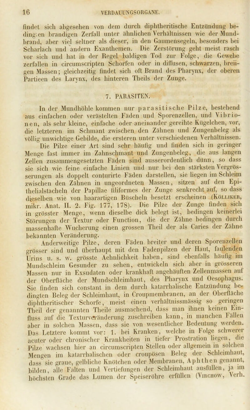 findet sich abgesehen von dem durch diphtheritische Entzündung be- ding; en brandigen Zerfall unter ähnlichen Verhältnissen wie der Mund- brand, aber viel seltner als dieser, in den Gaumensegeln, besonders bei Scharlach und andern Exanthemen. Die Zerstörung geht meist rasch vor sich und hat in der Regel baldigen Tod zur Folge, die Gewebe zerfallen in circumscripten Schorfen oder in diffusen, schwarzen, breii- gen Massen; gleichzeitig findet sich oft Brand des Pharynx, der oberen Parlieen des Larynx, des hinteren Theils der Zunge. 7. PARASITEN. Inder Mundhöhle kommen nur parasitische Pilze, bestehend aus einfachen oder verästelten Fäden und Sporenzellen, und Vibrio- nen, als sehr kleine, einfache oder aneinander gereihte Kügelchen, vor, die letzteren im Schmant zwischen den Zähnen und Zungenheleg als völlig unwichtige Gebilde, die ersteren unter verschiedenen Verhältnissen. Die Pilze einer Art sind sehr häufig und finden sich in geringer Menge fast immer im Zalmsclnnant und Zungenbeleg, die aus langen Zellen zusammengesetzten Fäden sind ausserordentlich dünn, so dass sie sich wie feine einfache Linien und nur bei den stärksten Vergrös- serungen als doppelt conturirte Fäden darstellen, sie liegen im Schleim zwischen den Zähnen in ungeordneten Massen, sitzen auf den Epi- fhelialstacheln der Papillae filiformes der Zunge senkrecht auf, so dass dieselben wie von haarartigen Büscheln besetzt erscheinen (Kölliker, mikr. Anat. II. 2. Fig. 177, 178). Die Pilze der Zunge finden sich in grösster Menge, wrenn dieselbe dick belegt ist, bedingen keinerlei Störungen der Textur oder Function, die der Zähne bedingen durch massenhafte Wucherung einen grossen Theil der als Caries der Zähne bekannten Veränderung. Anderweitige Pilze, deren Fäden breiter und deren Sporenzellen grösser sind und überhaupt mit den Fadenpilzen der Haut, faulenden Urins u. s. w. grösste Aehnlichkeit haben, sind ebenfalls häufig im Mundschleim Gesunder zu sehen, entwickeln sich aber in grösseren Massen nur in Exsudaten oder krankhaft angehäuften Zellenmassen auf der Oberfläche der Mundschleimhaut, des Pharynx und Oesophagus. Sie finden sich constant in dem durch katarrhalische Entzündung be- dingten Beleg der Schleimhaut, in Croupmembranen, an der Oberfläche diphtheritischer Schorfe, meist einen verhältnissmässig so geringen Theil der genannten Tlicile ausmachend, dass man ihnen keinen Ein- fluss auf die Texturveränderung zuschreiben kann, in manchen Fällen aber in solchen Massen, dass sie von wesentlicher Bedeutung werden. Das Letztere kommt vor: 1. hei Kranken, welche in folge schwerer acuter oder chronischer Krankheiten in tiefer Prostration liegen, die Pilze wachsen hier an circumscripten Stellen oder allgemein in solchen Mengen im katarrhalischen oder croupösen Beleg der Schleimhaut, dass sie graue, gelbliche Knötchen oder Membranen, Aphthen genannt, bilden, alle Falten und Vertiefungen der Schleimhaut ausfüllen, ja im höchsten Grade das Lumen der Speiseröhre erfüllen (Yirchow:, Verb.