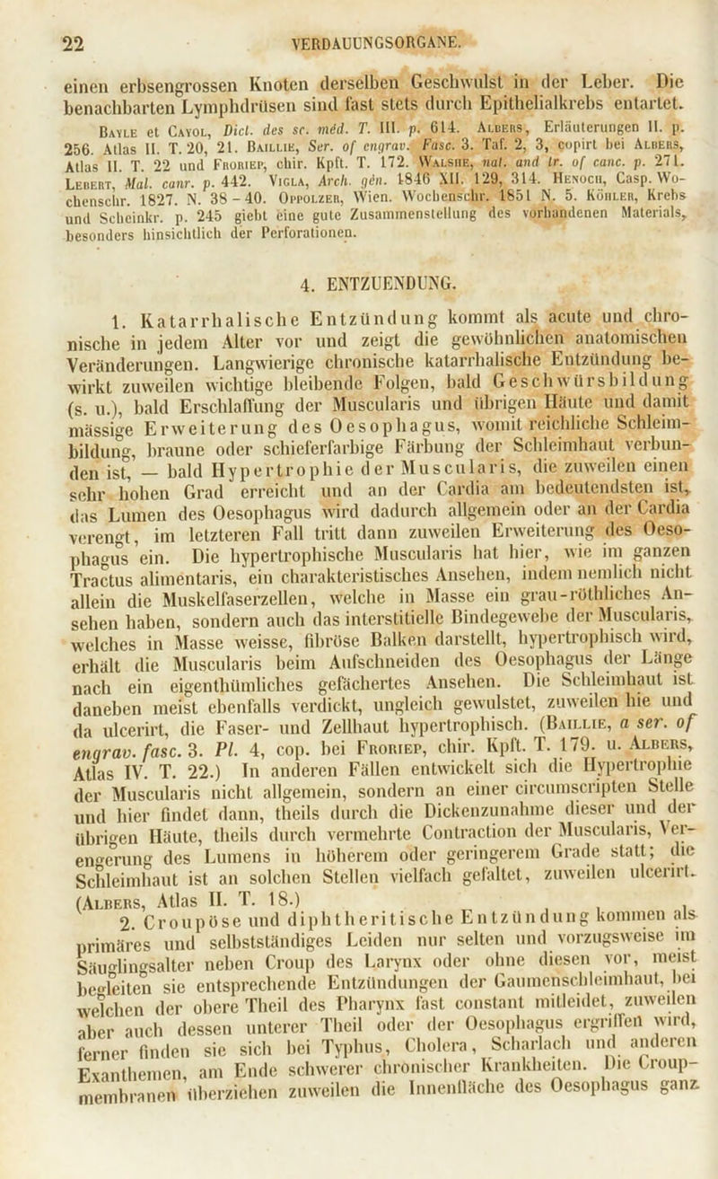 einen erbsengrossen Knoten derselben Geschwulst in der Leber. Die benachbarten Lymphdrüsen sind fast stets durch Epithelialkrebs entartet. Bayle et Cayol, Diel, des sc. mdd. T. III. p. 614. Albers, Erläuterungen H. p. 256. Atlas II. T. 20, 21. Bailue, Ser. of engrav. Fase. 3. Taf. 2, 3, copirt bei Albers, Atlas II T 22 und Froriep, cliir. Kpft. T. 172. Walsiie, nal. and Ir. of canc. p. 271. Lebert, Mal. canr. p. 442. Vigla, Arch. gen. 1846 XII. 129, 314. Henocii, Casp. Wo- chenschr. 1827. N. 38-40. Oppolzer, Wien. Wocbenschr. 1851 N. 5. Köhler, Krebs und Scbcinkr. p. 245 giebt eine gute Zusammenstellung des vorhandenen Materials, besonders hinsichtlich der Perforationen. 4. ENTZUENDUNG. 1. Katarrhalische Entzündung kommt als acute und chro- nische in jedem Alter vor und zeigt die gewöhnlichen anatomischen Veränderungen. Langwierige chronische katarrhalische Entzündung be- wirkt zuweilen wichtige bleibende Folgen, bald Geschwürsbildüng (s. u.), bald Erschlaffung der Muscularis und übrigen Häute und damit massige Erweiterung des Oesophagus, womit reichliche Schleim- bildung, braune oder schieferfarbige Färbung der Schleimhaut verbun- den ist, — bald Hypertrophie der Muscularis, die zuweilen einen sehr hohen Grad erreicht und an der Cardia am bedeutendsten ist, das Lumen des Oesophagus wird dadurch allgemein oder an der Cardia verengt, im letzteren Fall tritt dann zuweilen Erweiterung des Oeso- phagus ein. Die hypertrophische Muscularis hat hi ei , wie im ganzen Tractus alimentaris, ein charakteristisches Ansehen, indem nemlich nicht allein die Muskelfaserzellen, welche in Masse ein grau-rüthliches An- sehen haben, sondern auch das interstitielle Bindegewebe der Muscularis, welches in Masse weisse, fibröse Balken darstellt, hypertrophisch wird, erhält die Muscularis beim Aufschneiden des Oesophagus der Länge nach ein eigenthümliches gefächertes Ansehen. Die Schleimhaut ist daneben meist ebenfalls verdickt, ungleich gewulstet, zuweilen lue und da ulcerirt, die Faser- und Zellhaut hypertrophisch. (Baillie, a ser. of enarav. fase. 3. PL 4, cop. bei Froriep, cliir. Kpft. T. 179. u. Albers, Atlas IV. T. 22.) In anderen Fällen entwickelt sich die Hypertrophie der Muscularis nicht allgemein, sondern an einer circumscripten Stelle und hier findet dann, theils durch die Dickenzunahme dieser und der übrigen Häute, theils durch vermehrte Contraction der Muscularis, Ver- engung des Lumens in höherem oder geringerem Grade statt; die Schleimhaut ist an solchen Stellen vielfach gefaltet, zuweilen ulcerirt. (Albers, Atlas II. T. 18.) 2. Croupöse und diphtheritische Entzündung kommen als primäres , • . SäuMingsaltcr neben Croup des Larynx oder ohne diesen vor, meist begleiten sie entsprechende Entzündungen der Gaumenschleimhaut, bei welchen der obere Theil des Pharynx fast constant mitleidet, zuweilen aber auch dessen unterer Theil oder der Oesophagus ergriffen wird, ferner finden sie sich bei Typhus, Cholera, Scharlach und anderen Fvinthemen am Ende schwerer chronischer Krankheiten. Die Croup- membranen überziehen zuweilen die Innenfläche des Oesophagus ganz. und selbstständiges Leiden nur selten und vorzugsweise ira