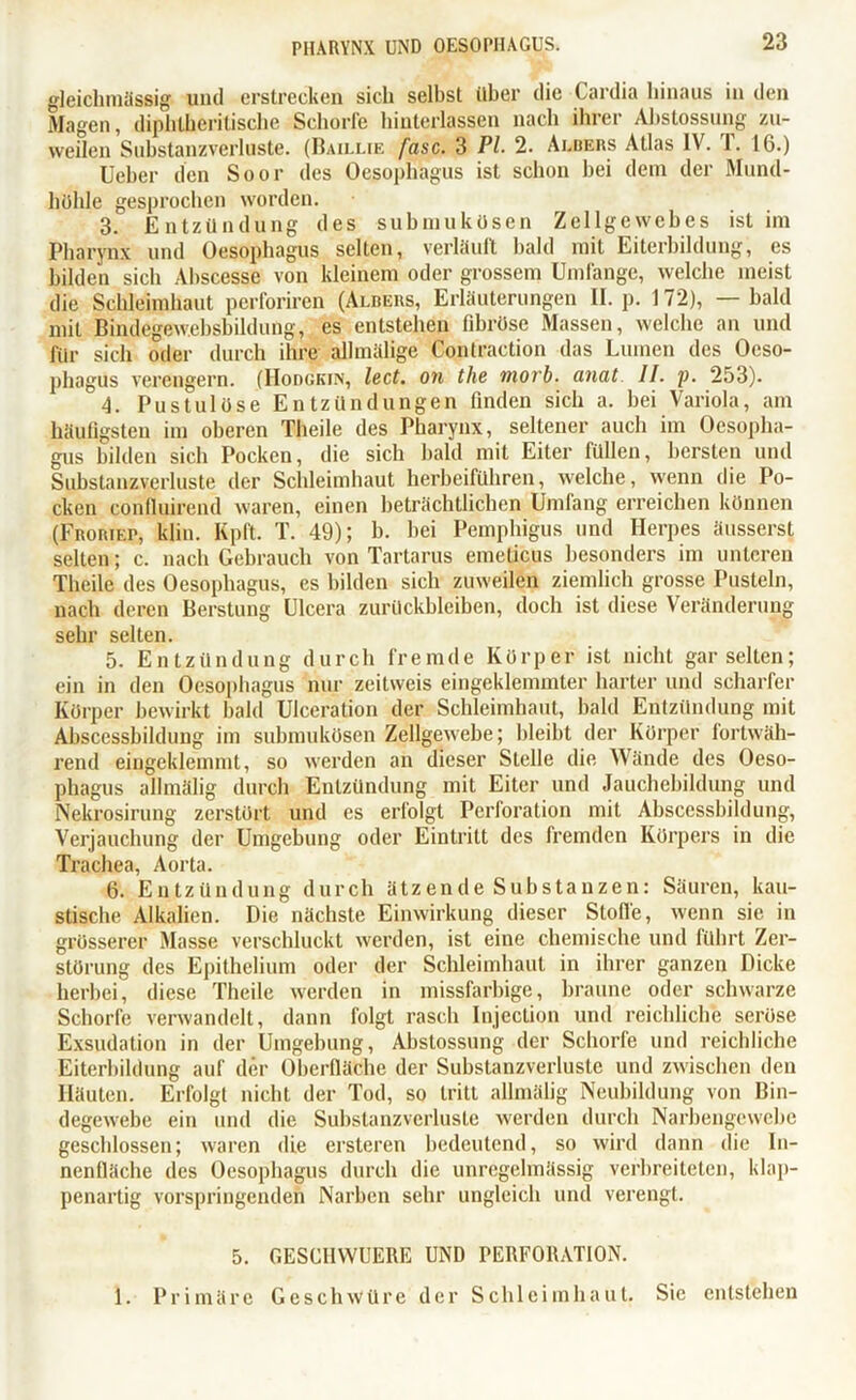 gleiclnnässig und erstrecken sich selbst über die Cardia hinaus in den Magen, diphlheritische Schorle hinterlassen nach ihrer Ahstossung zu- weilen Substanzverluste. (Baillie fase. 3 Pi 2. Ai.bers Atlas IV. T. 16.) Ueber den Soor des Oesophagus ist schon bei dem der Mund- höhle gesprochen worden. 3. Entzündung des submuküsen Zellgewebes ist im Pharynx und Oesophagus selten, verläuft bald mit Eiterbildung, es bilden sich Abscesse von kleinem oder grossem Umfange, welche meist die Schleimhaut perforiren (Albers, Erläuterungen II. p. 172), — bald mit Bindegewebsbildung, es entstehen fibröse Massen, welche an und für sich oder durch ihre allmälige Contraction das Lumen des Oeso- phagus verengern. (Hodgkin, lect. on the morb. anat II. p. 253). 4. Pustulöse Entzündungen finden sich a. bei Variola, am häufigsten im oberen Theile des Pharynx, seltener auch im Oesopha- gus bilden sich Pocken, die sich bald mit Eiter füllen, bersten und Substanzverluste der Schleimhaut herbeiführen, welche, wenn die Po- cken confluirend waren, einen beträchtlichen Umfang erreichen können (Froriep, klin. Kpft. T. 49); b. bei Pemphigus und Herpes äusserst selten; c. nach Gebrauch von Tartarus emeticus besonders im unteren Theile des Oesophagus, es bilden sich zuweilen ziemlich grosse Pusteln, nach deren Berstung Ulcera Zurückbleiben, doch ist diese Veränderung sehr selten. 5. Entzündung durch fremde Körper ist nicht gar selten; ein in den Oesophagus nur zeitweis eingeklemmter harter und scharfer Körper bewirkt bald Ulceration der Schleimhaut, bald Entzündung mit Abscessbildung im submukösen Zellgewebe; bleibt der Körper fortwäh- rend eingeklemmt, so werden an dieser Stelle die Wände des Oeso- phagus allmälig durch Entzündung mit Eiter und Jauchebildung und Nekrosirung zerstört und es erfolgt Perforation mit Abscessbildung, Verjauchung der Umgebung oder Eintritt des fremden Körpers in die Trachea, Aorta. 6. Entzündung durch ätzende Substanzen: Säuren, kau- stische Alkalien. Die nächste Einwirkung dieser Stoffe, wenn sie in grösserer Masse verschluckt werden, ist eine chemische und führt Zer- störung des Epithelium oder der Schleimhaut in ihrer ganzen Dicke herbei, diese Theile werden in missfarbige, braune oder schwarze Schorfe verwandelt, dann folgt rasch Injection und reichliche seröse Exsudation in der Umgebung, Abstossung der Schorfe und reichliche Eiterbildung auf der Oberfläche der Substanzverluste und zwischen den Häuten. Erfolgt nicht der Tod, so tritt allmälig Neubildung von Bin- degewebe ein und die Substanzverluste werden durch Narbengewebe geschlossen; waren die ersteren bedeutend, so wird dann die In- nenfläche des Oesophagus durch die unregelmässig verbreiteten, klap- penartig vorspringenden Narben sehr ungleich und verengt. 5. GESCHWUERE UND PERFORATION. 1. Primäre Geschwüre der Schleimhaut. Sic entstehen