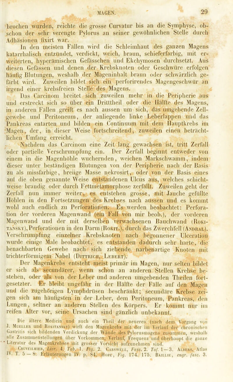 brochen wurden, reichte die grosse Curvatur bis an die Symphyse, ob- schon der sehr verengte Pylorus an seiner gewöhnlichen Stelle durch Adhäsionen lixirt war. In den meisten Fällen wird die Schleimhaut des ganzen Magens katarrhalisch entzündet, verdickt, weich, braun, schieferfarbig, mit er- weiterten, hypcrämischen Gelasschen und Ekchymosen durchsetzt. Aus diesen Gefässen und denen der Krebsknoten oder Geschwüre erfolgen häufig Blutungen, weshalb der Mageninhalt braun oder schwärzlich ge- färbt wird. Zuweilen bildet sich ein perforirendes Magengeschwür an irgend einer krebsfreien Stelle des Magens. Das Carcinom breitet sich zuweilen mehr in die Peripherie aus und erstreckt sich so über ein Dritttheil oder die Hälfte des Magens, in anderen Fällen greift es nach aussen um sich, das umgehende Zell- gewebe und Peritoneum, der anliegende linke Leberlappen und das Pankreas entarten und bilden ein Continuum mit dem Hauptkrebs im Magen, der, in dieser Weise fortschreitend, zuweilen einen beträcht- lichen Umfang erreicht. Nachdem das Carcinom eine Zeit lang gewachsen ist, tritt Zerfall oder partielle Verschrumpfung ein. Der Zerfall beginnt entweder von einem in die Magenhoble wuchernden, weichen Markschwamm, indem dieser unter beständigen Blutungen von der Peripherie nach der Basis zu als missfarbige, breiige Masse nekrosirt, oder von der Basis eines auf die oben genannte Weise entstandenen Ulcus aus, welches schicht- weise brandig oder durch Fettmetamorphose zerfällt. Zuweilen geht der Zerfall nun immer weiter, es entstehen grosse, mit Jauche gefüllte Hohlen in den Fortsetzungen des Krebses nach aussen und es kommt wohl auch endlich zu Perforationen. Es werden beobachtet: Perfora- tion der vorderen Magenwand (ein Fall von mir beob.), der vorderen Magenwand und der mit derselben verwachsenen Bauchwand (Iloiu- TAissKV), Perforationen in den Darm (Bokit.), durch das Zwerchfell (Aniiral). Verschrumpfung einzelner Krebsknoten nach begonnener Ulceration wurde einige Male beobachtet, es entstanden dadurch sehr harte, die benachbarten Gewebe nach sich ziehende narbenartige Knoten mit trichterförmigem Nabel (Dittrich, Lf.bert). Der Magenkrebs entsteht meist primär im Magen, nur selten bildet er sich als secundärer, wenn schon an anderen Stellen Krebse be- stehen, oder als von der Leber und anderen umgebenden Therlen fort- gesetzter. Er bleibt ungefähr in der Hälfte der Fälle auf den Magen und die zugehörigen Lymphdrüsen beschränkt; secundäre Krebse zei- gen sich am häufigsten in der Leber, dem Peritoneum, Pankreas, den Lungen, seltner an anderen Stellen des Körpers. Er kommt nur im reifen Alter vor, seine Ursachen sind gänzlich unbekannt. Die ältere Mcdicin und auch ein Tlieil der neueren (nach dem Vorgang von •1. Müelleb und Rokitansky) wirft den Magenkrebs mit der im Verlauf der chronischen Gastritis sich bildenden Verdickung der Wände des Pylorusmagens zusammen, weshalb alle Zusammenstellungen über Vorkommen, Verlauf, Frequenz und überhaupt die ganze Literatur des Magenkrebses mit grosser Vorsicht aufzunehmen sind. Cruveiuiier, Livr. 4. Tab. 1. Fig. 2. Carswe/.l, Fase. 2. Taf. 1 — 3. Alrers, Atlas IV. T. 5 — 8. Erläuterungen IV. p. 84. Horb, Fig. 174. 175. Baillib, engr. fase. 3.