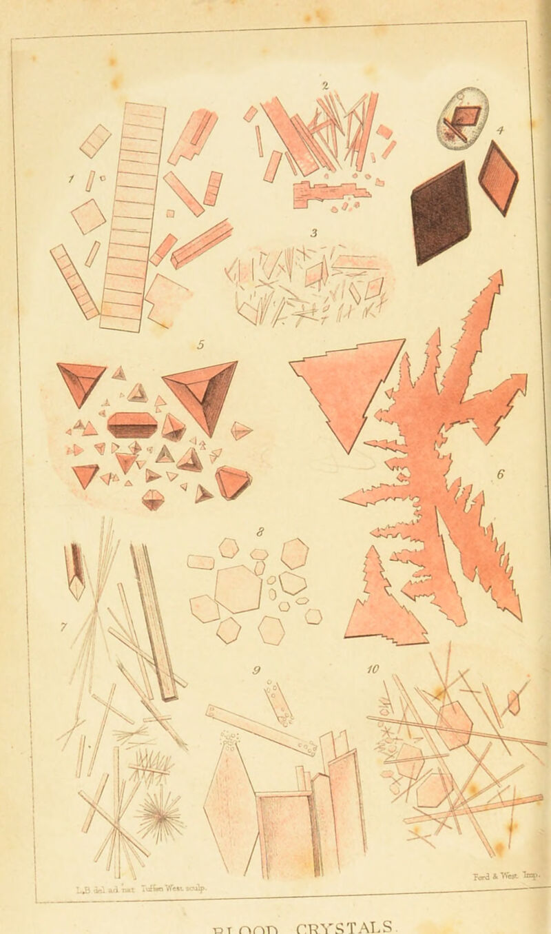 ..B aa ad nat TtiSm West. icuOp. • H T3t nnn CRYSTALS