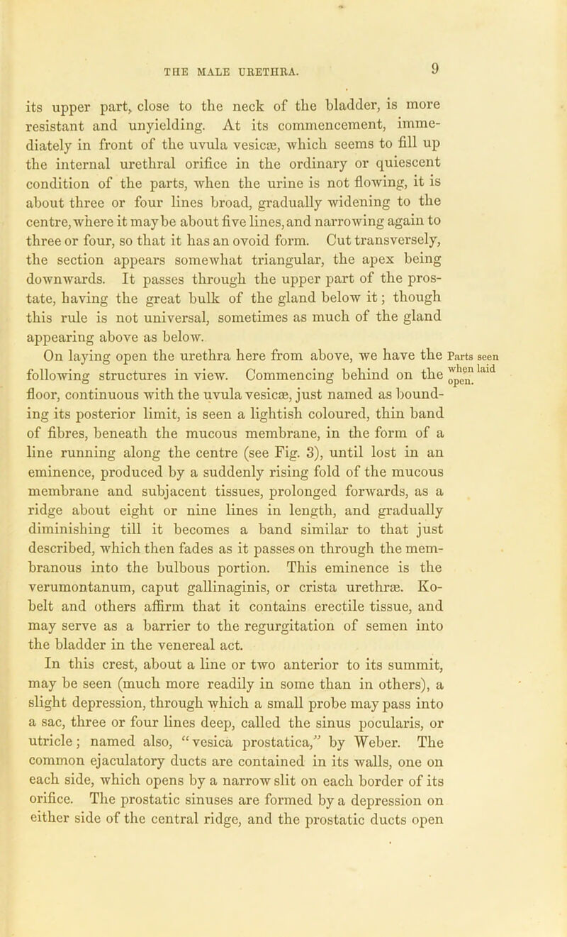 its upper part,, close to the neck of the bladder, is more resistant and unyielding. At its commencement, imme- diately in front of the uvula vesicoe, -which seems to fill up the internal urethral orifice in the ordinary or quiescent condition of the parts, -when the urine is not flowing, it is about three or four lines broad, gradually widening to the centre, where it maybe about five lines,and narrowing again to three or four, so that it has an ovoid form. Cut transversely, the section appears somewhat triangular, the apex being downwards. It passes through the upper part of the pros- tate, having the great bulk of the gland below it; though this rule is not universal, sometimes as much of the gland appearing above as below. On laying open the urethra here from above, we have the Parts seen following structures in view. Commencing behind on the ^enn laid floor, continuous with the uvula vesicas, just named as bound- ing its posterior limit, is seen a lightish coloured, thin band of fibres, beneath the mucous membrane, in the form of a line running along the centre (see Fig. 3), until lost in an eminence, produced by a suddenly rising fold of the mucous membrane and subjacent tissues, prolonged forwards, as a ridge about eight or nine lines in length, and gradually diminishing till it becomes a band similar to that just described, which then fades as it passes on through the mem- branous into the bulbous portion. This eminence is the verumontanum, caput gallinaginis, or crista urethrae. Ko- belt and others affirm that it contains erectile tissue, and may serve as a barrier to the regurgitation of semen into the bladder in the venereal act. In this crest, about a line or two anterior to its summit, may be seen (much more readily in some than in others), a slight depression, through which a small probe may pass into a sac, three or four lines deep, called the sinus pocularis, or utricle; named also, “vesica prostatica,” by Weber. The common ejaculatory ducts are contained in its walls, one on each side, which opens by a narrow slit on each border of its orifice. The prostatic sinuses are formed by a depression on either side of the central ridge, and the prostatic ducts open