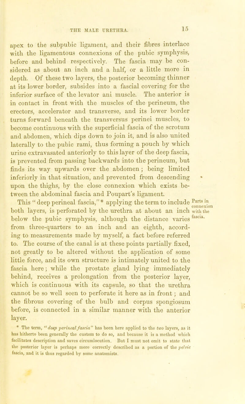 apex to the subpubic ligament, and their fibres interlace ■with the ligamentous connexions of the pubic symphysis, before and behind respectively. The fascia may be con- sidered as about an inch and a half, or a little more in depth. Of these two layers, the posterior becoming thinner at its lower border, subsides into a fascial covering for the inferior surface of the levator ani muscle. The anterior is in contact in front with the muscles of the perineum, the erectors, accelerator and transverse, and its lower border turns forward beneath the transversus perinei muscles, to become continuous Avith the superficial fascia of the scrotum and abdomen, which dips down to join it, and is also united laterally to the pubic rami, thus forming a pouch by which urine extravasated anteriorly to this layer of the deep fascia, is prevented from passing backAvards into the perineum, but finds its way upwards over the abdomen ; being limited inferiorly in that situation, and prevented from descending upon the thighs, by the close connexion which exists be- tween the abdominal fascia and Poupart's ligament. This “ deep perineal fascia,”* applying the term to include Partsia r. n _ jri j o # connexio botli layers, is perforated by the urethra at about an inch with the below the pubic symphysis, although the distance variesfu3Cia- from three-quarters to an inch and an eighth, accord- ing to measurements made by myself, a fact before referred to. The course of the canal is at these points partially fixed, not greatly to be altered without the application of some little force, and its own structure is intimately united to the fascia here; while the prostate gland lying immediately behind, receives a prolongation from the posterior layer, which is continuous with its capsule, so that the urethra cannot be so well seen to perforate it here as in front; and the fibrous covering of the bulb and corpus spongiosum before, is connected in a similar manner with the anterior layer. * The term, “deep perineal fascia” has been here applied to the two layers, as it has hitherto been generally the custom to do so, and because it is a method which facilitates description and saves circumlocution. But I must not omit to state that the posterior layer is perhaps more correctly described as a portion of the pelvic fascia, and it is thus regarded by some anatomists.