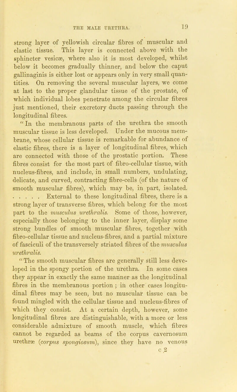 1.0 strong layer of yellowish circular fibres of muscular and elastic tissue. This layer is connected above with the sphincter vesicce, where also it is most developed, whilst below it becomes gradually thinner, and below the caput gallinaginis is either lost or appears only in very small quan- tities. On removing the several muscular layers, we come at last to the proper glandular tissue of the prostate, of which individual lobes penetrate among the circular fibres just mentioned, their excretory ducts passing through the longitudinal fibres. “ In the membranous parts of the urethra the smooth muscular tissue is less developed. Under the mucous mem- brane, whose cellular tissue is remarkable for abundance of elastic fibres, there is a layer of longitudinal fibres, which are connected with those of the prostatic portion. These fibres consist for the most part of fibro-cellular tissue, with nucleus-fibres, and include, in small numbers, undulating, delicate, and curved, contracting fibre-cells (of the nature of smooth muscular fibres), which may be, in part, isolated. External to these longitudinal fibres, there is a strong layer of transverse fibres, which belong for the most part to the musculus urethralis. Some of those, however, especially those belonging to the inner layer, display some strong bundles of smooth muscular fibres, together with fibro-cellular tissue and nucleus-fibres, and a partial mixture of fasciculi of the transversely striated fibres of the musculus urethralis. “ The smooth muscular fibres are generally still less deve- loped in the spongy portion of the urethra. In some cases they appear in exactly the same manner as the longitudinal fibres in the membranous portion ; in other cases longitu- dinal fibres may be seen, but no muscular tissue can be found mingled Avith the cellular tissue and nucleus-fibres of Avhich they consist. At a certain depth, however, some longitudinal fibres are distinguishable, with a more or less considerable admixture of smooth muscle, which fibres cannot be regarded as beams of the corpus cavernosum urethrae (corpus spongiosum), since they have no venous