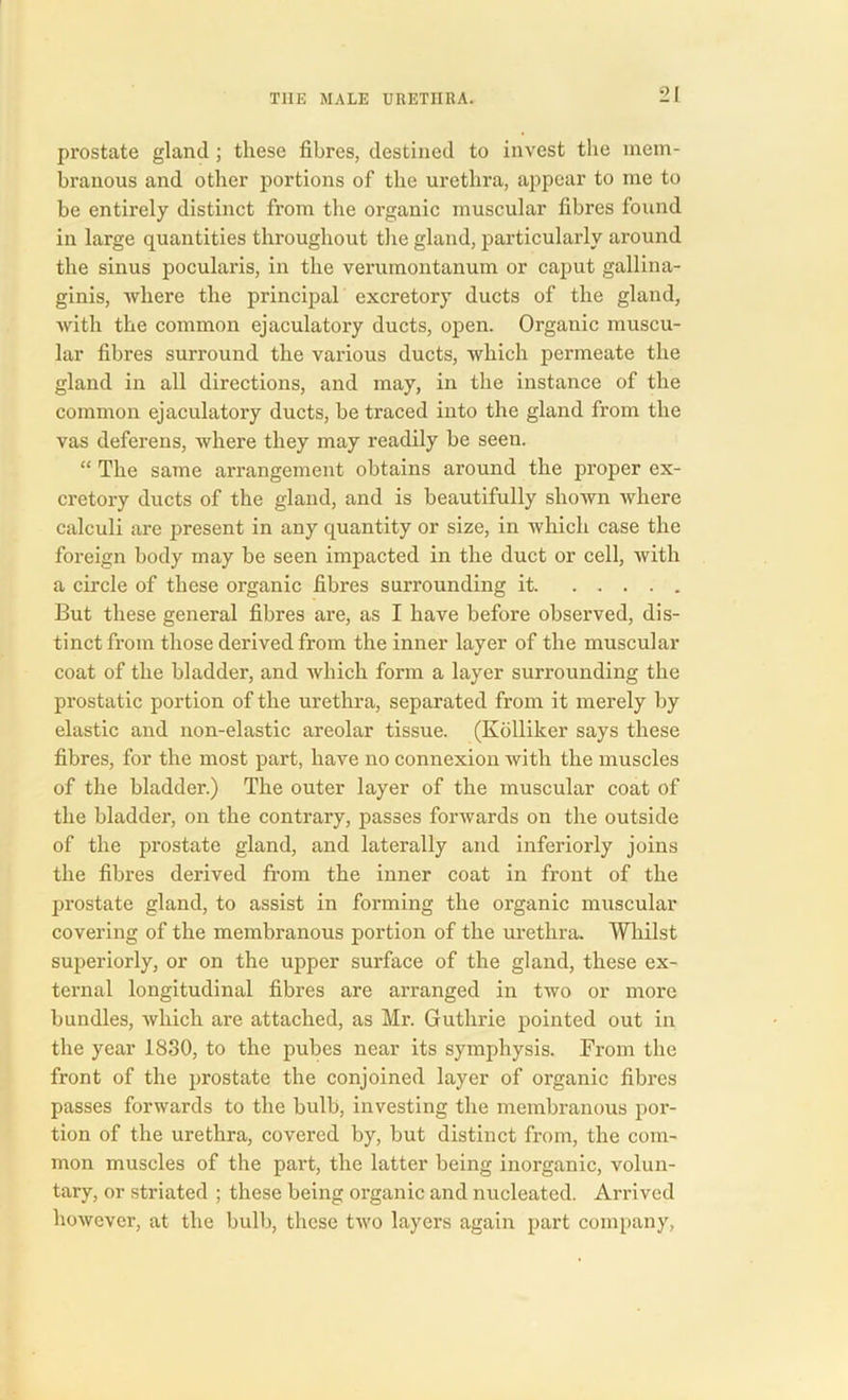 prostate gland; these fibres, destined to invest the mem- branous and other portions of the urethra, appear to me to be entirely distinct from the organic muscular fibres found in large quantities throughout the gland, particularly around the sinus pocularis, in the verumontanum or caput gallina- ginis, where the principal excretory ducts of the gland, with the common ejaculatory ducts, open. Organic muscu- lar fibres surround the various ducts, which permeate the gland in all directions, and may, in the instance of the common ejaculatory ducts, be traced into the gland from the vas deferens, where they may readily be seeu. “ The same arrangement obtains around the proper ex- cretory ducts of the gland, and is beautifully shown where calculi are present in any quantity or size, in which case the foreign body may be seen impacted in the duct or cell, with a circle of these organic fibres surrounding it But these general fibres are, as I have before observed, dis- tinct from those derived from the inner layer of the muscular coat of the bladder, and which form a layer surrounding the prostatic portion of the urethra, separated from it merely by elastic and non-elastic areolar tissue. (Kolliker says these fibres, for the most part, have no connexion with the muscles of the bladder.) The outer layer of the muscular coat of the bladder, on the contrary, passes forwards on the outside of the prostate gland, and laterally and inferiorly joins the fibres derived from the inner coat in front of the prostate gland, to assist in forming the organic muscular covering of the membranous portion of the urethra. Whilst superiorly, or on the upper surface of the gland, these ex- ternal longitudinal fibres are arranged in two or more bundles, which are attached, as Mr. Guthrie pointed out in the year 1830, to the pubes near its symphysis. From the front of the prostate the conjoined layer of organic fibres passes forwards to the bulb, investing the membranous por- tion of the urethra, covered by, but distinct from, the com- mon muscles of the part, the latter being inorganic, volun- tary, or striated ; these being organic and nucleated. Arrived however, at the bulb, these two layers again part company,