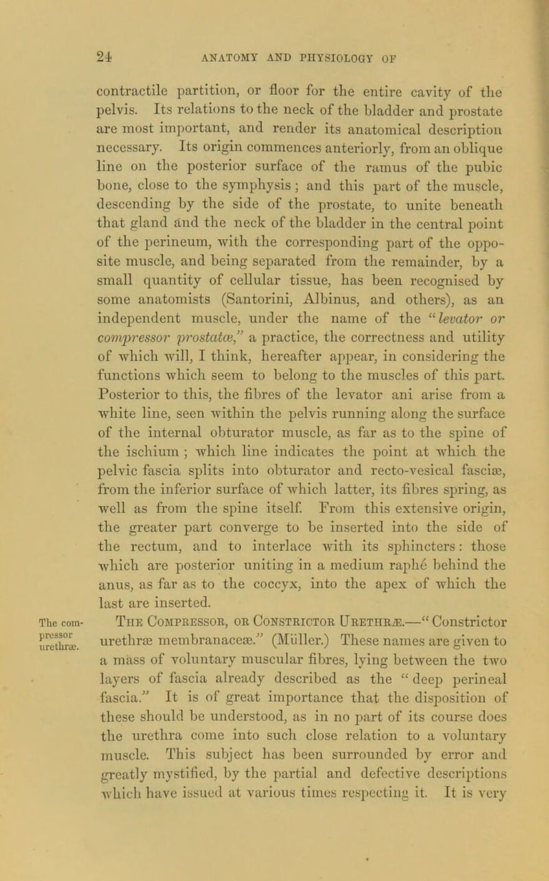Tlie com- pressor urethrae. contractile partition, or floor for the entire cavity of the pelvis. Its relations to the neck of the bladder and prostate are most important, and render its anatomical description necessary. Its origin commences anteriorly, from an oblique line on the posterior surface of the ramus of the pubic bone, close to the symphysis; and this part of the muscle, descending by the side of the prostate, to unite beneath that gland and the neck of the bladder in the central point of the perineum, with the corresponding part of the oppo- site muscle, and being separated from the remainder, by a small quantity of cellular tissue, has been recognised by some anatomists (Santorini, Albinus, and others), as an independent muscle, under the name of the “levator or compressor prostatce,” a practice, the correctness and utility of which will, I think, hereafter appear, in considering the functions which seem to belong to the muscles of this part. Posterior to this, the fibres of the levator ani arise from a white line, seen within the pelvis running along the surface of the internal obturator muscle, as far as to the spine of the ischium ; which line indicates the point at which the pelvic fascia splits into obturator and recto-vesical fascia}, from the inferior surface of which latter, its fibres spring, as well as from the spine itself. From this extensive origin, the greater part converge to be inserted into the side of the rectum, and to interlace with its sphincters: those which are posterior uniting in a medium raphe behind the anus, as far as to the coccyx, into the apex of which the last are inserted. The Compressor, or Constrictor Urethrae.—“Constrictor urethra} membranacese.” (Muller.) These names are given to a mass of voluntary muscular fibres, lying between the two layers of fascia already described as the “ deep perineal fascia.” It is of great importance that the disposition of these should be understood, as in no part of its course does the urethra come into such close relation to a voluntary muscle. This subject has been surrounded by error and greatly mystified, by the partial and defective descriptions which have issued at various times respecting it. It is very