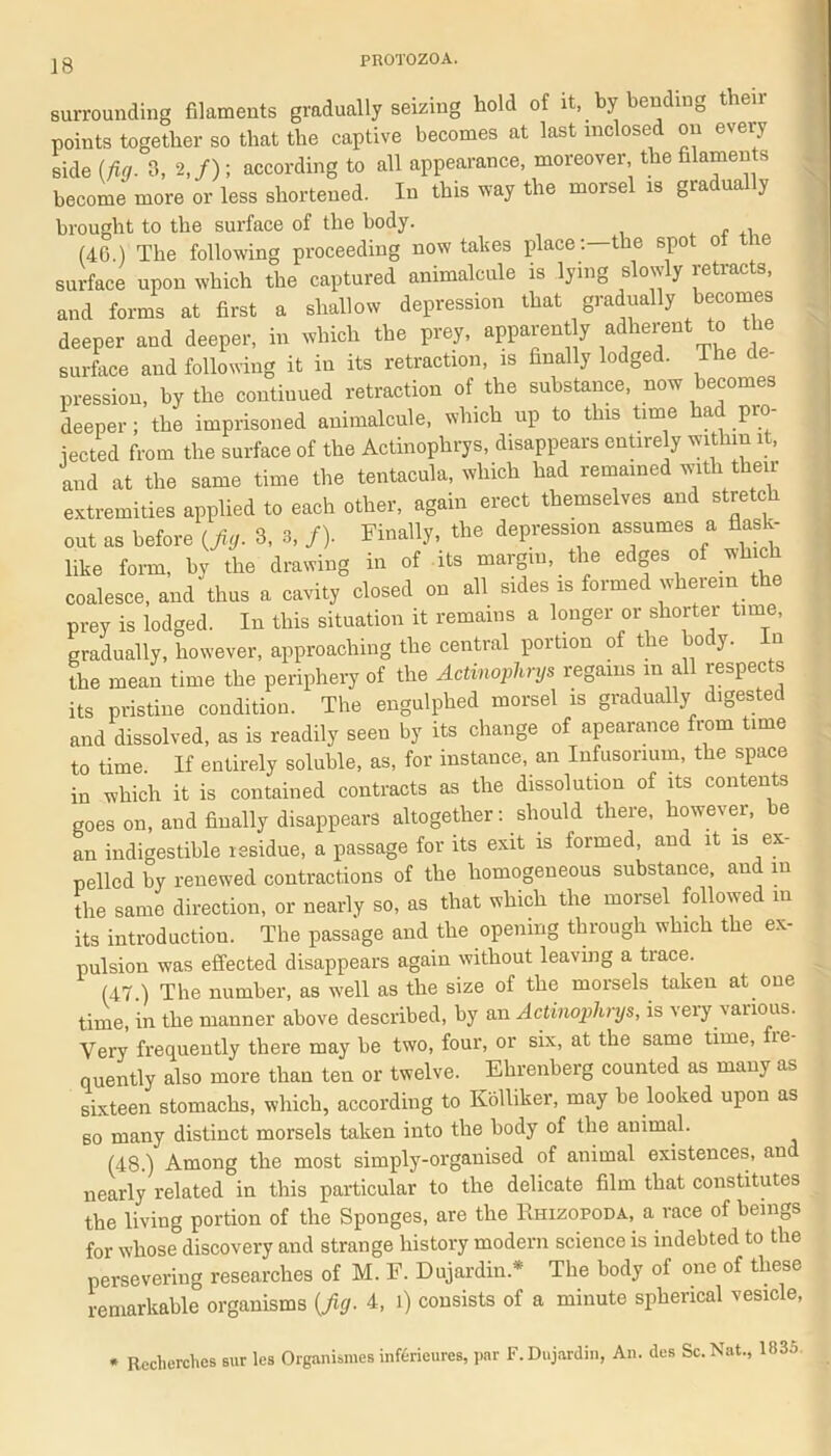 surrounding filaments gradually seizing hold of it, by bending then- points together so that the captive becomes at last inclosed on eveiy side (fig. 3, 2,/) ; according to all appearance, moreover the filaments become more or less shortened. In this way the morsel is gradually brought to the surface of the body. , , (40.) The following proceeding now tabes place :—the spot ot surface upon which the captured animalcule is lying slowly retracts, and forms at first a shallow depression that gradually becomes deeper and deeper, in which the prey, apparenty adherent to the surface and following it in its retraction, is finally lodged. The pression, by the contiuued retraction of the substance, now becomes deeper; the imprisoned animalcule, which up to this time had pro- tected from the surface of the Actinophrys, disappears entirely within it, and at the same time the tentacula, which had remained with then- extremities applied to each other, again erect themselves and stretch out as before (Jig. 3, 3, /). Finally, the depression assumes a flask- like form, by the drawing in of its margin, the edges of which coalesce, and thus a cavity closed on all sides is formed wherein e prey is lodged. In this situation it remains a longer or shorter time, gradually, however, approaching the central portion of the body. In the mean time the periphery of the Actinophrys regains m all respects its pristine condition. The engulphed morsel is gradually digested and dissolved, as is readily seen by its change of apearance from time to time. If entirely soluble, as, for instance, an Infusorium, the space in which it is contained contracts as the dissolution of its contents goes on, and finally disappears altogether: should there, however, be an indigestible residue, a passage for its exit is formed, and it is ex- pelled by renewed contractions of the homogeneous substance, and in the same direction, or nearly so, as that which the morsel followed in its introduction. The passage and the opening through which the ex- pulsion was effected disappears again without leaving a trace. (47 ) The number, as well as the size of the morsels taken at one time, in the manner above described, by an Actinophrys, is very various. Very frequently there may be two, four, or six, at the same time, ie quently also more than ten or twelve. Elirenberg counted as many as sixteen stomachs, which, according to KSlliker, may be looked upon as 60 many distinct morsels taken into the body of the animal. (48.) Among the most simply-organised of animal existences, an nearly related in this particular to the delicate film that constitutes the living portion of the Sponges, are the Rhizopoda, a race of beings for whose discovery and strange history modern science is indebted to the persevering researches of M. F. Dujardin * The body of one of these remarkable organisms {fig. 4, l) consists of a minute spherical vesicle, Recherches sur les Organises inffcrieures, par F. Dujardin, An. des Sc. Nat., 133a