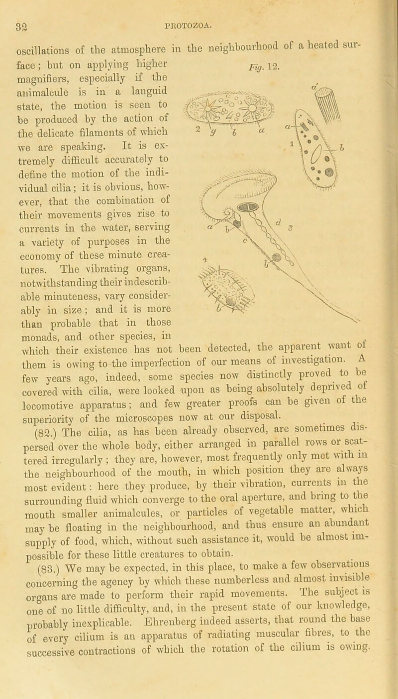 oscillations of the atmosphere in the neighbourhood of a heated sur face; but on applying higher Fig 12< magnifiers, especially if the animalcule is in a languid state, the motion is seen to be produced by the action of the delicate filaments of which we are speaking. It is ex- tremely difficult accurately to define the motion of the indi- vidual cilia; it is obvious, how- ever, that the combination of their movements gives rise to currents in the water, serving a variety of purposes in the economy of these minute crea- tures. The vibrating organs, notwithstanding their indescrib- able minuteness, vary consider- ably in size ; and it is more than probable that in those monads, and other species, in which their existence has not been detected, the apparent want ot them is owing to the imperfection of our means of investigation. A few years ago, indeed, some species now distinctly proved to be covered with cilia, were looked upon as being absolutely deprived of locomotive apparatus; and few greater proofs can be given of the superiority of the microscopes now at our disposal. (82.) The cilia, as has been already observed, are sometimes dis- persed over the whole body, either arranged in parallel rows or scat- tered irregularly ; they are, however, most frequently only met with in the neighbourhood of the mouth, in which position they are al s\ay s most evident: here they produce, by their vibration, currents in the surrounding fluid which converge to the oral aperture, and bring to the mouth smaller animalcules, or particles of vegetable mattei, which may be floating in the neighbourhood, and thus ensure an abundant supply of food, which, without such assistance it, would he almost im- possible for these little creatures to obtain. (83.) We may be expected, in this place, to make a few observations concerning the agency by which these numberless and almost invisible organs are made to perform their rapid movements. The subject is one of no little difficulty, and, in the present state of our knowledge, probably inexplicable. Ehrenberg indeed asserts, that round the base of every cilium is an apparatus of radiating muscular fibres, to the successive contractions of which the rotation of the cilium is owing.