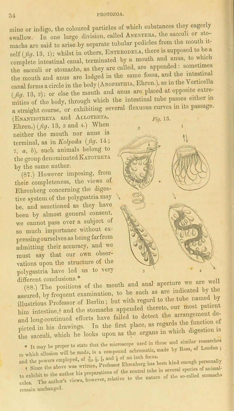 mine or indigo, the coloured particles of which substances they eagerly swallow. In one large division, called Anentera, the sacculi or sto- machs are said to arise by separate tubular pedicles from the mouth it- self (fig. 13, l); whilst in others, Enterodela, there is supposed to be a complete intestinal canal, terminated by a mouth and anus, to which the sacculi or stomachs, as they are called, are appended: sometimes the mouth and anus are lodged in the same fossa, and the mtestma canal forms a circle in the body (Anopisthia, Ehren.), as m the Vorticella ( fin 13 2); or else the mouth and anus are placed at opposite extre- mities of the body, through which the intestiual tube passes either in a straight course, or exhibiting several flexuous curves in its passage. (Enantiotreta and Allotreta, Ehren.) {fig. 13, 3 and 4.) When 2 i neither the mouth nor anus is terminal, as in Kolpoda {fig. 14 5 7, a, l), such animals belong to the group denominated Katotreta by the same author. (87.) However imposing, from their completeness, the views of Ehrenberg concerning the diges- tive system of the polygastria may be, and sanctioned as they have been by almost general consent, we cannot pass over a subject of so much importance without ex- pressing ourselves as being far from admitting their accuracy, and we must say that our own obser- vations upon the structure of the polygastria have led us to very different conclusions.* vp-n (88.) The positions of the mouth and anal apertu assured by frequent examination, to be such as are indicated byt rsHio’us^i-ofessor of Berlin; but with regard to the tube named by i intestine,f and the stomachs appended thereto, our most patrent and long-continued efforts have failed to detect the arrangement de- 1? his drawings. In the first place, as regards the function of the sacculi, which he looks upon as the organs in which digestion is * It may be proper to state that the microscope used in these and similar researches to which allusion will be made, is a compound achromatic, made y oss, o and the powers employed, of. ^ ^^“^hrenbei haTbeen kind enough personally remain unchanged.