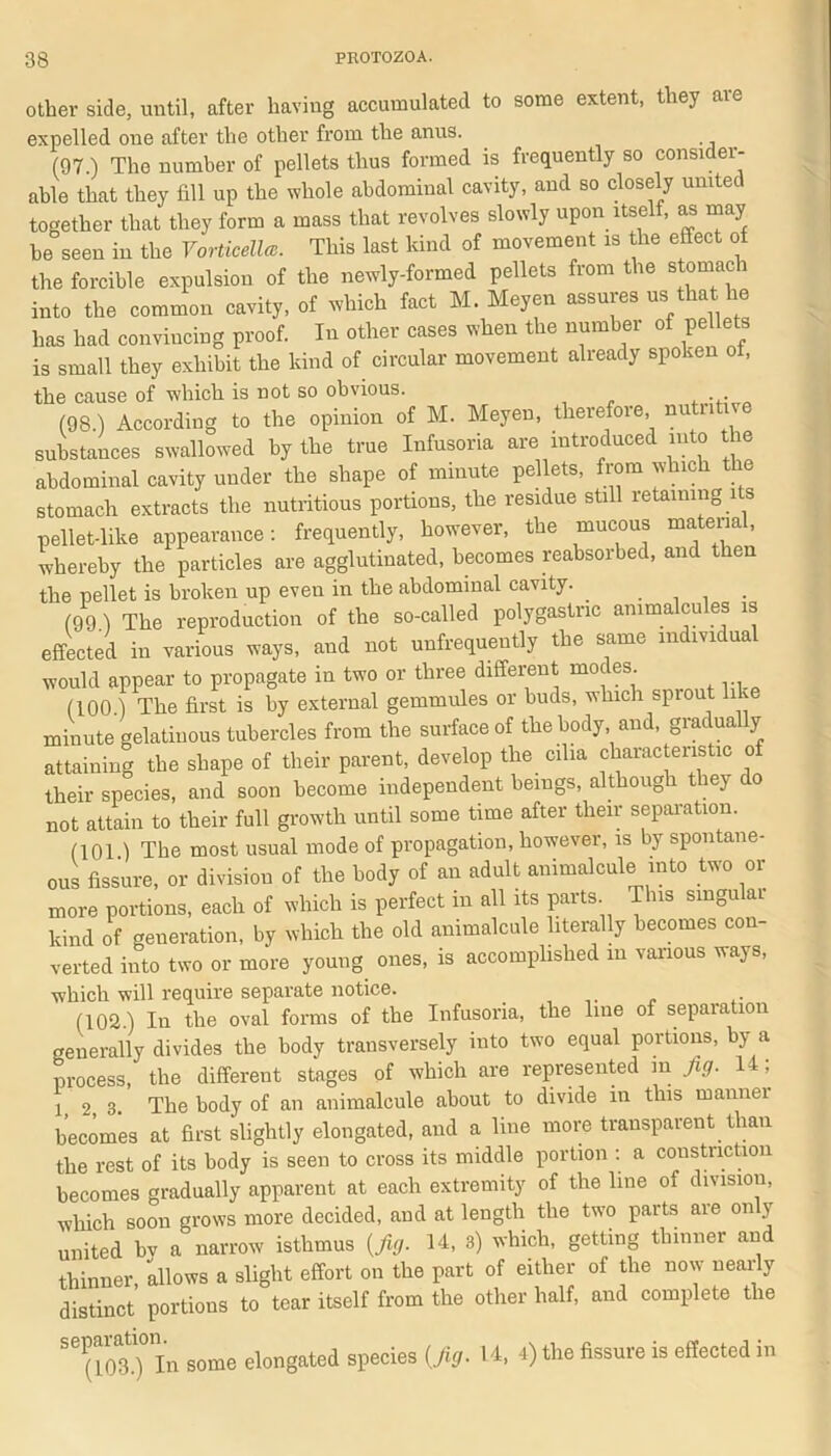 other side, until, after having accumulated to some extent, they are expelled one after the other from the anus. (97.) The number of pellets thus formed is frequently so consider- able that they fill up the whole abdominal cavity, and so closely united together that they form a mass that revolves slowly upon itself, as may he seen in the Vortwella. This last kind of movement is the effect of the forcible expulsion of the newly-formed pellets from the stomach into the common cavity, of which fact M. Meyen assures us that he has had convincing proof. In other cases when the number of pellets is small they exhibit the kind of circular movement already spoken of, the cause of which is not so obvious. ... (98.) According to the opinion of M. Meyen, therefore, nu n substances swallowed by the true Infusoria are introduced into the abdominal cavity under the shape of minute pellets, from which the stomach extracts the nutritious portions, the residue still retaining its pellet-like appearance: frequently, however, the mucous material, whereby the particles are agglutinated, becomes reabsorbed, and t en the pellet is broken up even in the abdominal cavity. . (99) The reproduction of the so-called polygastric animalcules is effected in various ways, and not unfrequently the same individual would appear to propagate in two or three different modes. (100.) The first is by external gemmules or buds, which spiout like minute gelatinous tubercles from the surface of the body, and, grac ua y attaining the shape of their parent, develop the cilia characteristic of their species, and soon become independent beings, althoug i ey o not attain to their full growth until some time after their separation. (101 ) The most usual mode of propagation, however, is by spontane- ous fissure, or division of the body of an adult animalcule into two or more portions, each of which is perfect in all its parts This singular kind of generation, by which the old animalcule literally becomes con- verted into two or more young ones, is accomplished in various ways, which will require separate notice. (102.) In the oval forms of the Infusoria, the line of separation generally divides the body transversely into two equal portions, by a process, the different stages of which are represented in fig. 14; l, 2, 3. The body of an animalcule about to divide in this manner becomes at first slightly elongated, and a line more transparent than the rest of its body is seen to cross its middle portion : a constriction becomes gradually apparent at each extremity of the line of division, which soon grows more decided, and at length the two parts are on y united hv a narrow isthmus (fig. 14, 3) which, getting thinner and thinner, allows a slight effort on the part of either of the now nearly distinct portions to tear itself from the other half, and complete the S6^in some elongated species (fig. 14, 4) the fissure is effected in