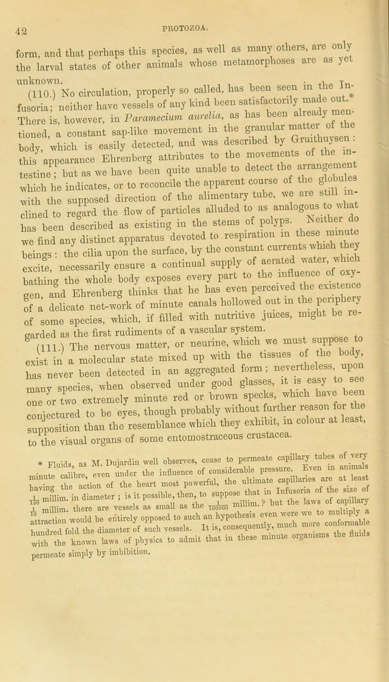 form, and that perhaps this species, as well as many others, are only the larval states of other animals whose metamorphoses are as yet unknown. . , ,, Tv, (110.) No circulation, properly so called, has been seen in - fusoria- neither have vessels of any kind been satisfactorily made out. There is, however, iu Paramecium aurelia, as has t»R> already^ra- tioned, » constant sap-like movement m the granular of the hotly, which is easily detected, and was described by Juithhjaen • this7 appearance Ehrenberg attributes to the movements of the - testine but as we have been quite unable to detect the which he indicates, or to reconcile the apparent course of the g ohu es with the supposed direction of the alimentary tube, we aie still - dined to regard the flow of particles alluded to as analogous to what has been described as existing in the stems of polyps. Neither do we find any distinct apparatus devoted to respiration m these minute beings : the cilia upon the surface, by the constant currents which they excite, necessarily ensure a continual supply of aerated ™tei whic bathing the whole body exposes every part to the l gen and Ehrenberg thinks that he has even perceiv ed the existence of a delicate net-work of minute canals hollowed out in the penpkey of some species, which, if filled with nutritive juices, might be re- garded as the first rudiments of a vascular system. (Ill) The nervous matter, or neurine, which we must suppose exist in a molecular state mixed up with the tissues of the body has never been detected in an aggregated form; nevertheless upo nT species when observed under good glasses, it is easy to see Te Ir two extremely minute red or brown specks, which have been conjectured to be eyes, though probably without further reason for the supposition than the resemblance which they exhibit, in colour at least, to the visual organs of some entomostraceous crustacea. * Fluids as M. Dujardin well observes, cease to permeate capillary tubes of very minute calibre even under the influence of considerable pressure Even m ammal Tvino the action of the heart most powerful, the ultimate capillanes are at least ife millim. in diameter ; is it possible then to »ppo^t m 1 there are vessels as small as the ^^clo minim.. u r , --b; “r vpr permeate simply by imbibition.