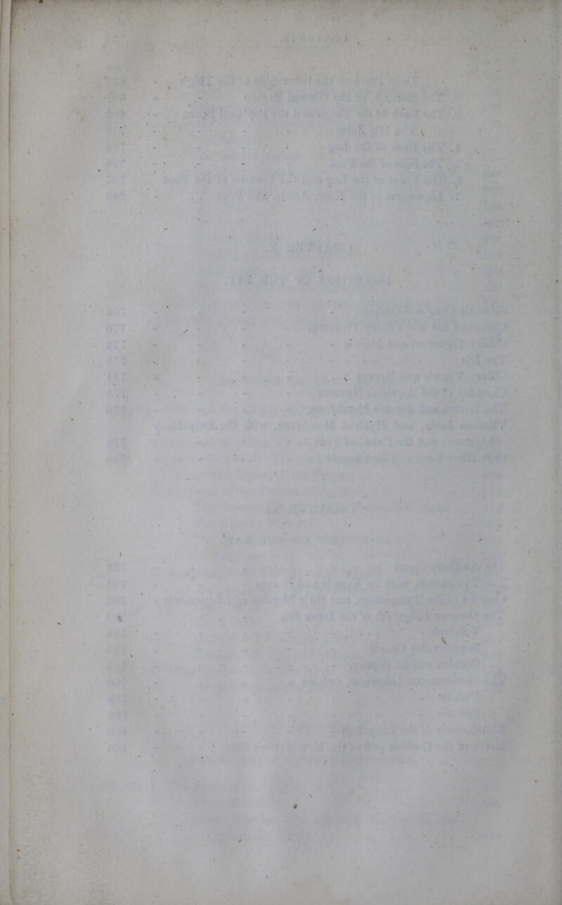 » - . • . ■ V ■ ' v ■ 4- . .