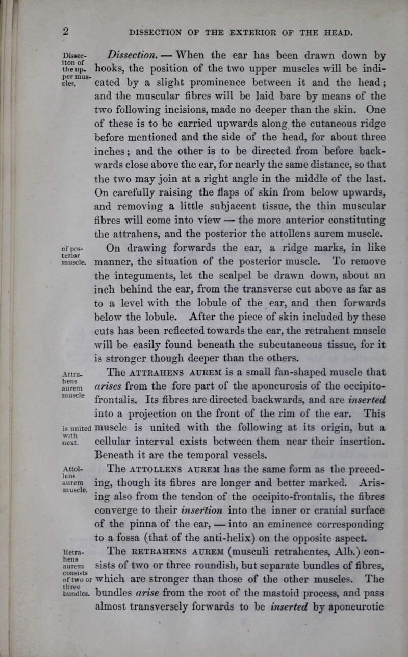 Dissec- iton of the up. per mus- cles, of pos- terior muscle. Attra- hens aurem muscle is united with next. Attol- lens aurem muscle. Retra- hens aurem consists of two or three bundles. Dissection. — When the ear has been drawn down by hooks, the position of the two upper muscles will be indi- cated by a slight prominence between it and the head; and the muscular fibres will be laid bare by means of the two following incisions, made no deeper than the skin. One of these is to be carried upwards along the cutaneous ridge before mentioned and the side of the head, for about three inches; and the other is to be directed from before back- wards close above the ear, for nearly the same distance, so that the two may join at a right angle in the middle of the last. On carefully raising the flaps of skin from below upwards, and removing a little subjacent tissue, the thin muscular fibres will come into view — the more anterior constituting the attrahens, and the posterior the attollens aurem muscle. On drawing forwards the ear, a ridge marks, in like manner, the situation of the posterior muscle. To remove the integuments, let the scalpel be drawn down, about an inch behind the ear, from the transverse cut above as far as to a level with the lobule of the ear, and then forwards below the lobule. After the piece of skin included by these cuts has been reflected towards the ear, the retrahent muscle will be easily found beneath the subcutaneous tissue, for it is stronger though deeper than the others. The attrahens aurem is a small fan-shaped muscle that arises from the fore part of the aponeurosis of the occipito- frontalis. Its fibres are directed backwards, and are inserted into a projection on the front of the rim of the ear. This muscle is united with the following at its origin, but a cellular interval exists between them near their insertion. Beneath it are the temporal vessels. The attollens aurem has the same form as the preced- ing, though its fibres are longer and better marked. Aris- ing also from the tendon of the occipito-frontalis, the fibres converge to their insertion into the inner or cranial surface of the pinna of the ear, — into an eminence corresponding to a fossa (that of the anti-helix) on the opposite aspect. The retrahens aurem (musculi retrahentes, Alb.) con- sists of two or three roundish, but separate bundles of fibres, which are stronger than those of the other muscles. The bundles arise from the root of the mastoid process, and pass almost transversely forwards to be inserted by aponeurotic