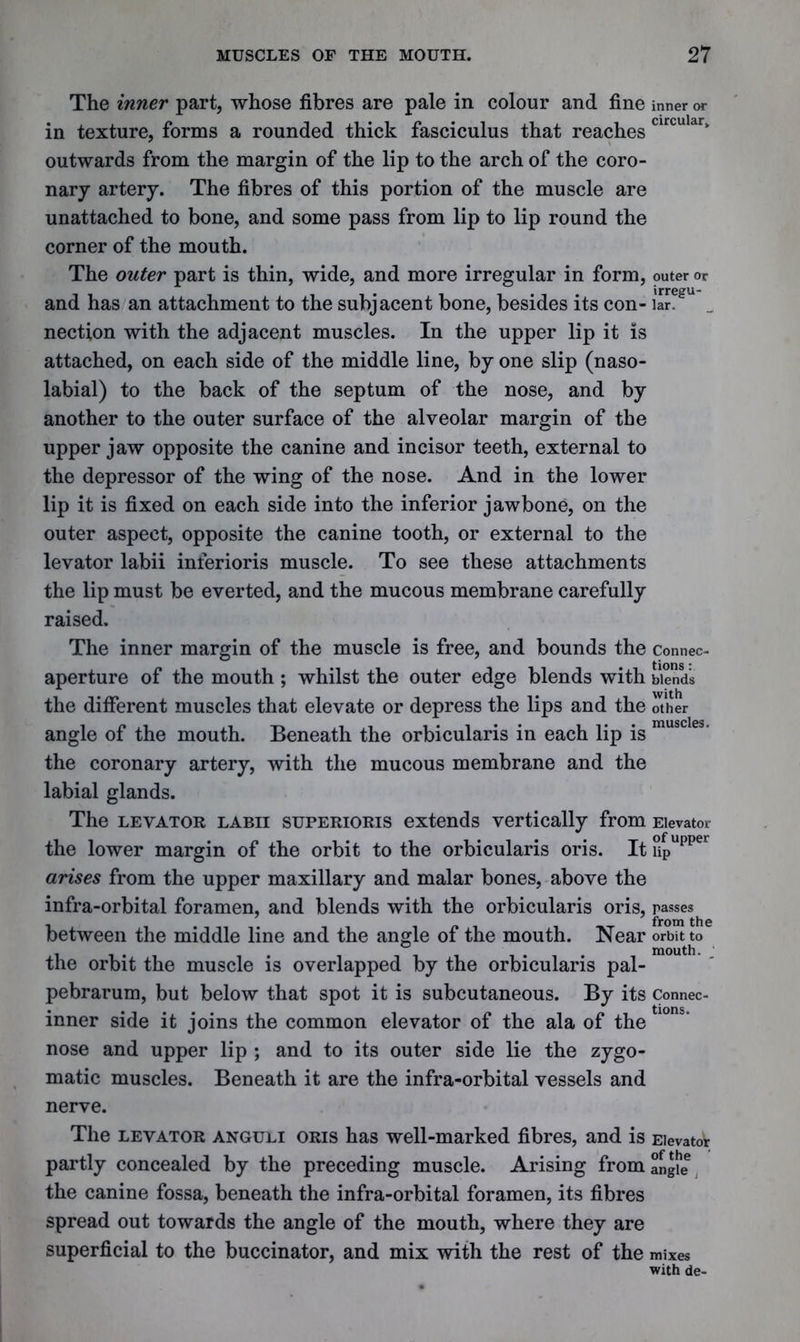 The inner part, whose fibres are pale in colour and fine inner or in texture, forms a rounded thick fasciculus that reaches circuldr> outwards from the margin of the lip to the arch of the coro- nary artery. The fibres of this portion of the muscle are unattached to bone, and some pass from lip to lip round the corner of the mouth. The outer part is thin, wide, and more irregular in form, outer or and has an attachment to the subjacent bone, besides its con- iarfgu nection with the adjacent muscles. In the upper lip it is attached, on each side of the middle line, by one slip (naso- labial) to the back of the septum of the nose, and by another to the outer surface of the alveolar margin of the upper jaw opposite the canine and incisor teeth, external to the depressor of the wing of the nose. And in the lower lip it is fixed on each side into the inferior jawbone, on the outer aspect, opposite the canine tooth, or external to the levator labii inferioris muscle. To see these attachments the lip must be everted, and the mucous membrane carefully raised. The inner margin of the muscle is free, and bounds the Connec- aperture of the mouth ; whilst the outer edge blends with blends the different muscles that elevate or depress the lips and the other • • • • muscles angle of the mouth. Beneath the orbicularis in each lip is the coronary artery, with the mucous membrane and the labial glands. The LEVATOR LABII SUPERIORIS extends vertically from Elevator the lower margin of the orbit to the orbicularis oris. It [>ipUpper arises from the upper maxillary and malar bones, above the infra-orbital foramen, and blends with the orbicularis oris, passes between the middle line and the angle of the mouth. Near orbit to the orbit the muscle is overlapped by the orbicularis pal- pebrarum, but below that spot it is subcutaneous. By its Connec- inner side it joins the common elevator of the ala of the nose and upper lip ; and to its outer side lie the zygo- matic muscles. Beneath it are the infra-orbital vessels and nerve. The levator anguli oris has well-marked fibres, and is Elevator partly concealed by the preceding muscle. Arising from angfe6 the canine fossa, beneath the infra-orbital foramen, its fibres spread out towards the angle of the mouth, where they are superficial to the buccinator, and mix with the rest of the mixes with de-