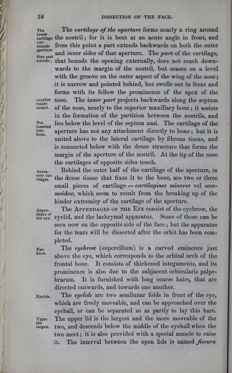The lower cartilage sur- rounds aperture. One part outside; another inside nostril. Not inserted into bone. Acces- sory car- tilages. Appen- dages of the eye. Eye- brow. Eyelids. Upper the largest. The cartilage of the aperture forms nearly a ring around the nostril; for it is bent at an acute angle in front, and from this point a part extends backwards on both the outer and inner sides of that aperture. The part of the cartilage, that bounds the opening externally, does not reach down- wards to the margin of the nostril, but ceases on a level with the groove on the outer aspect of the wing of the nose; it is narrow and pointed behind, but swells out in front and forms with its fellow the prominence of the apex of the nose. The inner part projects backwards along the septum of the nose, nearly to the superior maxillary bone ; it assists in the formation of the partition between the nostrils, and lies below the level of the septum nasi. The cartilage of the aperture has not any attachment directly to bone; but it is united above to the lateral cartilage by fibrous tissue, and is connected below with the dense structure that forms the margin of the aperture of the nostril. At the tip of the nose the cartilages of opposite sides touch. Behind the outer half of the cartilage of the aperture, in the dense tissue that fixes it to the bone, are two or three small pieces of cartilage — cartilagines minores vel sesa- moidece, which seem to result from the breaking up of the hinder extremity of the cartilage of the aperture. The Appendages of the Eye consist of the eyebrow, the eyelid, and the lachrymal apparatus. Some of these can be seen now on the opposite side of the face; but the apparatus for the tears will be dissected after the orbit has been com- pleted. The eyebrow (supercilium) is a curved eminence just above the eye, which corresponds to the orbital arch of the frontal bone. It consists of thickened integuments, and its prominence is also due to the subjacent orbicularis palpe- brarum. It is furnished with long coarse hairs, that are directed outwards, and towards one another. The eyelids are two semilunar folds in front of the eye, which are freely moveable, and can be approached over the eyeball, or can be separated so as partly to lay this bare. The upper lid is the largest and the more moveable of the two, and descends below the middle of the eyeball when the two meet; it is also provided with a special muscle to raise it. The interval between the open lids is named Jissura