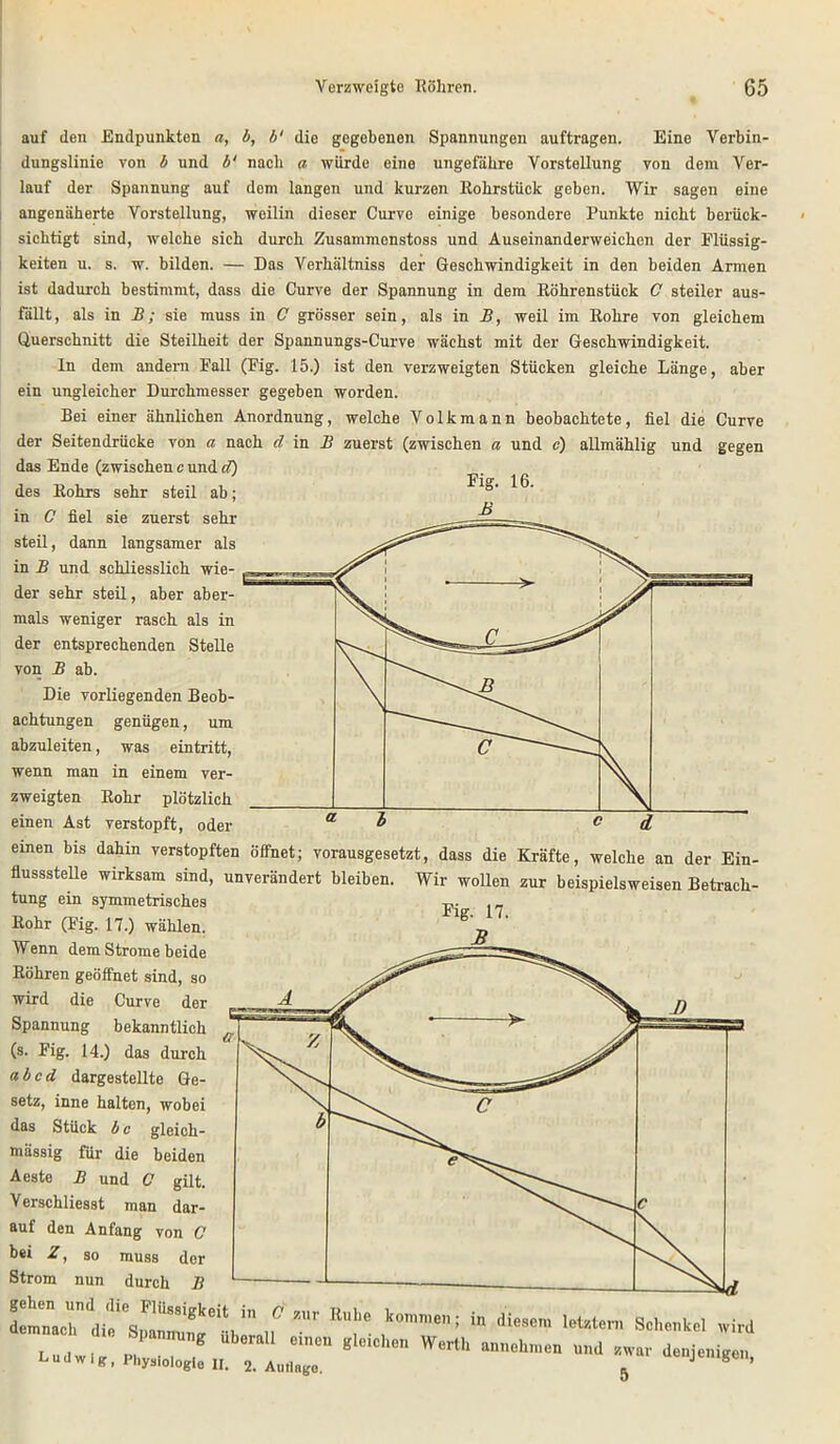 auf den Endpunkten a, b, b‘ dio gegebenen Spannungen auftragen. Eine Verbin- dungslinie von b und b‘ nach a würde eine ungefähre Vorstellung von dem Ver- lauf der Spannung auf dom langen und kurzen Rohrstück geben. Wir sagen eine angenäherte Vorstellung, weilin dieser Curvo einige besondere Punkte nicht berück- sichtigt sind, welche sich durch Zusammcnstoss und Auseinanderweichen der Flüssig- keiten u. s. w. bilden. — Das Verhältniss der Geschwindigkeit in den beiden Armen ist dadurch bestimmt, dass die Curve der Spannung in dem Röhrenstück C steiler aus- fällt, als in B; sie muss in C grösser sein, als in B, weil im Rohre von gleichem Querschnitt die Steilheit der Spannungs-Curve wächst mit der Geschwindigkeit. ln dem andern Fall (Fig. 15.) ist den verzweigten Stücken gleiche Länge, aber ein ungleicher Durchmesser gegeben worden. Bei einer ähnlichen Anordnung, welche Volkmann beobachtete, fiel die Curve der Seitendrücke von a nach d in B zuerst (zwischen a und c) allmählig und gegen das Ende (zwischen c und d) des Rohrs sehr steil ab; in C fiel sie zuerst sehr steil, dann langsamer als in B und schliesslich wie- der sehr steil, aber aber- mals weniger rasch als in der entsprechenden Stelle von B ab. Die vorliegenden Beob- achtungen genügen, um abzuleiten, was eintritt, wenn man in einem ver- zweigten Rohr plötzlich einen Ast verstopft, oder einen bis dahin verstopften öffnet; vorausgesetzt, dass die Kräfte, welche an der Ein- flussstelle wirksam sind, unverändert bleiben. Wir wollen zur beispielsweisen Betrach- tung ein symmetrisches Rohr (Fig. 17.) wählen. Wenn dem Strome beide Röhren geöffnet sind, so wird die Curve der Spannung bekanntlich (s. Fig. 14.) das durch ab cd dargestellte Ge- setz, inne halten, wobei das Stück b c gleich- mässig für die beiden Aeste B und C gilt. Verschliesst man dar- auf den Anfang von C bei Z, so muss der Strom nun durch B WM Ludwig, Physiologie II. 2. Amlngc einen gleichen Werth annehmen und zwar denjenigen,