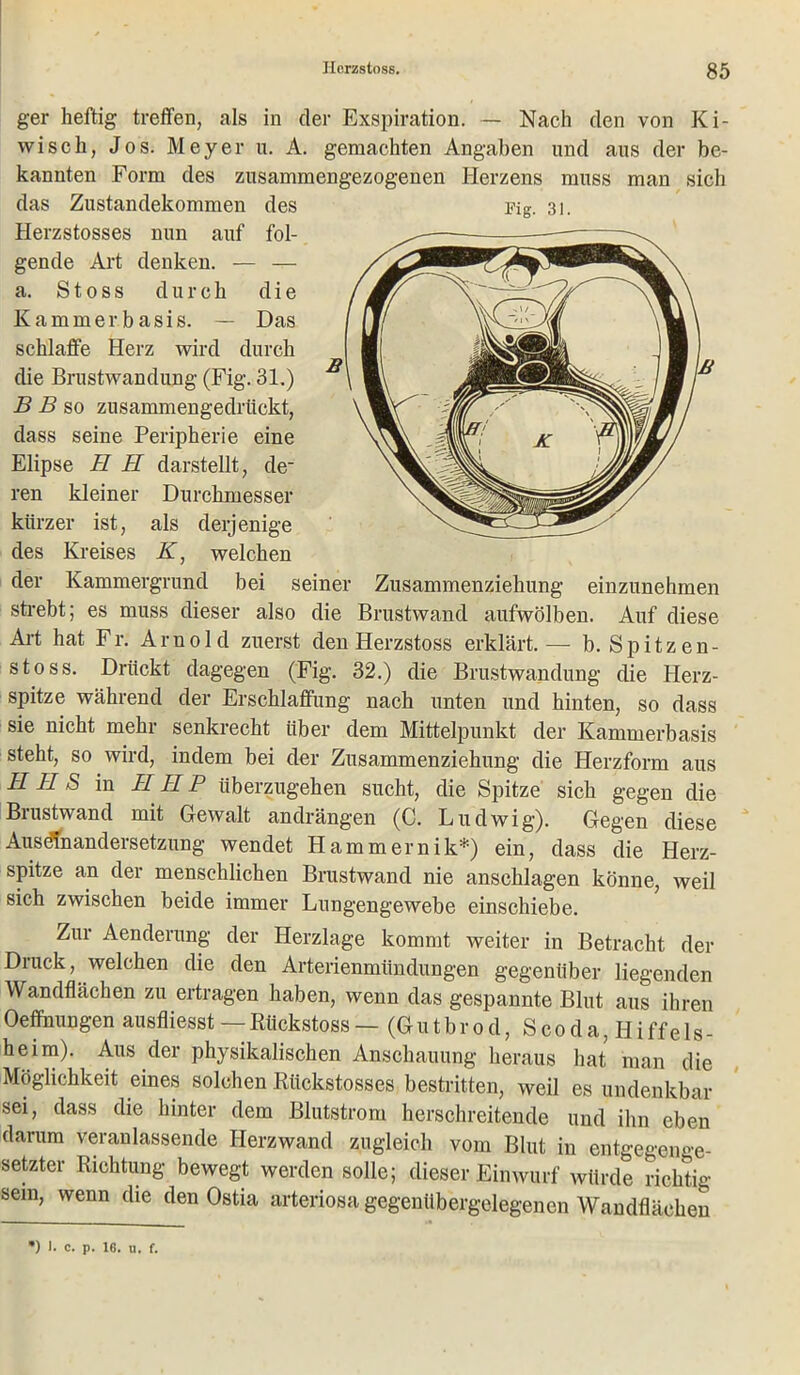 ger heftig treffen, als in der Exspiration. — Nach den von Ki- wi sch, Jos. Meyer u. A. gemachten Angaben und ans der be- kannten Form des zusammengezogenen Herzens muss man sich das Zustandekommen des i?ig. 31. Herzstosses nun auf fol- gende Art denken. — — a. Stoss durch die Kammerbasis. — Das schlaffe Herz wird durch die Brustwandung (Fig. 31.) B B so zusammengedrückt, dass seine Peripherie eine Elipse II II darstellt, de- ren kleiner Durchmesser kürzer ist, als derjenige des Kreises K, welchen der Kammergrund bei seiner Zusammenziehung einzunehmen strebt; es muss dieser also die Brustwand aufwölben. Auf diese Art hat Fr. Arnold zuerst den Herzstoss erklärt.— b. Spitzen- stoss. Drückt dagegen (Fig. 32.) die Brustwandung die Herz- spitze während der Erschlaffung nach unten und hinten, so dass sie nicht mehr senkrecht über dem Mittelpunkt der Kammerbasis steht, so wird, indem bei der Zusammenziehung die Herzform aus IIII S in IIIIP überzugehen sucht, die Spitze sich gegen die Brustwand mit Gewalt andrängen (C. Ludwig). Gegen diese Ausdfnandersetzung wendet Hammernik*) ein, dass die Herz- spitze an der menschlichen Brustwand nie anschlagen könne, weil sich zwischen beide immer Lungengewebe einschiebe. Zur Aenderung der Herzlage kommt weiter in Betracht der Druck, welchen die den Arterienmündungen gegenüber liegenden Wandflächen zu ertragen haben, wenn das gespannte Blut aus ihren Oeffnungen ausfliesst — Rückstoss — (G u t b r 0 d, S c 0 d a, Ii i ff e 1 s - heim). Aus der physikalischen Anschauung heraus hat man die Möglichkeit eines solchen Riickstosses bestritten, weil es undenkbar sei, dass die hinter dem Blutstrom herschreitende und ihn eben darum veranlassende Herzwand zugleich vom Blut in entgegenge- setzter Richtung bewegt werden solle; dieser Einwurf würde richtig sein, wenn die den Ostia arteriosa gegenübergelegenen Wandflächen *) I. c. p. 16. U. f.