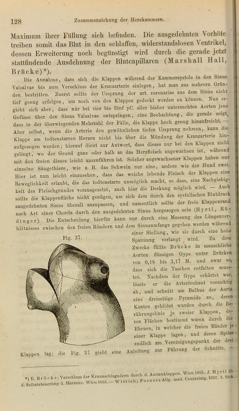 Maximum ihrer Füllung sich befinden. Die ausgedehnten Vorhöfe treiben somit das Blut in den schlaffen, widerstandslosen \entiikel, dessen Erweiterung noch begünstigt wird durch die gerade jetzt stattfindende Ausdehnung der Blutcap illaren (Mar sh all Hall, Brücke) *). Die Annahme, dass sich die Klappen während der Kammersystole in den Sinus Yalsalvae bis zum Verschluss der Kranzarterie einlegen, hat man aus mehrern Grün- den bestritten. Zuerst sollte der Ursprung der art. coronariae aus dem Sinus nicht tief genug erfolgen, um noch von den Klappen gedeckt werden zu können. Nun cr- giebt sich aber, dass nur bei vier bis fünf pC. aller bisher untersuchten Aorten jene Gefässc über den Sinus Valsalvae entspringen, eine Beobachtung, die gerade zeigt, dass in der überwiegenden Mehrzahl der Fälle, die Klappe hoch genug hinaufreicht. — Aber selbst, wenn die Arterie den gewöhnlichen tiefen Ursprung nehmen, kann die Klappe am todtenstarren Herzen nicht bis über die Mündung der Kranzarterie hin- aufgezogen werden; hierauf dient zur Antwort, dass dieses nur bei den Klappen nicht gelingt° wo der Grund ganz oder halb an das Herzfieisch angewachsen ist, während mit den freien dieses leicht auszuführen ist. Solcher angewachsener Klappen haben nur einzelne Säugethiere, wie z. B. das Schwein nur eine, andere wie der Hund zwei, Hier ist nun leicht einzusehen, dass das weiche lebende Fleisch der Klappen euie Beweglichkeit erlaubt, die das todtenstarre unmöglich macht, so dass, eine Nachgiebig- keit des Fleischgrundes vorausgesetzt, auch hier die Deckung möglich wird — Am sollte die Klappenfläche nicht genügen, um sich dem durch den systolischen u ruc ausgedehnten Sinus überall anzupassen, und namentlich sollte der freie Klappenran nach Art einer Chorda durch den ausgedehnten Sinus hergezogen sein (Hyrtl, Au- di ng er). Die Entscheidung hierfür kann nur durch eine Messung des Lungern er hältnisses zwischen den freien Rändern und dem Sinusumfange gegeben werden wahrend einer Stellung, wie sie durch eine holie Fig' 37 • Spannung verlangt wird. Zu dem Zwecke füllte Brücke in menschliche Aorten flüssigen Gyps unter Drücken von 0,IS bis 3,17 M. und zwar so, dass sich die Taschen entfalten muss- ten. Nachdem der Gyps erhärtet war, lösste er die Arterienhaut vorsichtig ab, und schnitt am Bulbus der Aorta eine dreiseitige Pyramide an, deren Kanten gebildet wurden durch die Be- rührungslinic je zweier Klappen, de- ren Flächen bestimmt waren durch die Ebenen, in welcher die freien Ränder je einer Klappe lagen, und deren Spitze endlich am Vcreinigungspunkt der drei kJL 1.«; «. Kg. st Anleitung « ™.,u„g *- «**»*• ' a. Selbststeuerung d. Herzens. Vien 1856. _ Wlttlch, Posn ers a g