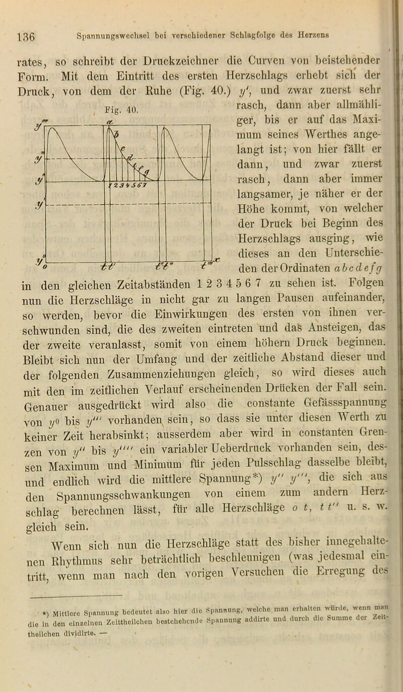 rates, so schreibt der Druckzeichner die Curven von beistehender Form. Mit dem Eintritt des ersten Herzschlags erhebt sich der Druck, von dem der Ruhe (Fig. 40.) y1, und zwar zuerst sehr rasch, dann aber allmäbli- ger, bis er auf das Maxi- mum seines Werth es ange- langt ist; von liier fällt er dann, und zwar zuerst rasch, dann aber immer langsamer, je näher er der Höhe kommt, von welcher der Druck bei Beginn des Herzschlags ausging, wie dieses an den Unterschie- den derOrdinaten abedefg in den gleichen Zeitabständen 1 2 3 4 5 6 7 zu sehen ist. Folgen nun die Herzschläge in nicht gar zu langen Pausen aufeinander, so werden, bevor die Einwirkungen des ersten von ihnen ^ er- schwunden sind, die des zweiten eintreten und das Ansteigen, das der zweite veranlasst, somit von einem höhern Druck beginnen. Bleibt sich nun der Umfang und der zeitliche Abstand dieser und der folgenden Zusammenziehungen gleich, so wird dieses auch mit den im zeitlichen Verlauf erscheinenden Drücken der Fall sein. Genauer ausgedrückt wird also die constante Gefässspannung von yo bis y‘“ vorhanden sein, so dass sie unter diesen Werth zu keiner Zeit herabsinkt; ausserdem aber wird in constanten Gren- zen von y“ bis y““ ein variabler Ueberdruck vorhanden sein, des- sen Maximum und Minimum für jeden Pulsschlag dasselbe bleibt, und endlich wird die mittlere Spannung*) y y‘, die sich aus den Spannungsschwankungen von einem zum andern Herz- schlag berechnen lässt, für alle Herzschläge o t, 11 u. s. w. gleich sein. Wenn sich nun die Herzschläge statt des bisher innegehalte- nen Rhythmus sehr beträchtlich beschleunigen (was jedesmal ein- tritt, wenn man nach den vorigen Versuchen die Erregung des Fig. 40. *) Mittlere Spannung bedeutet also hier die Spannung, die ln den einzelnen Zeitthellchon bostchchende Spannung thoilchon dlvidirte. — welche man erhalten würde, wenn man addirtc und durch die Summe der Zeit-