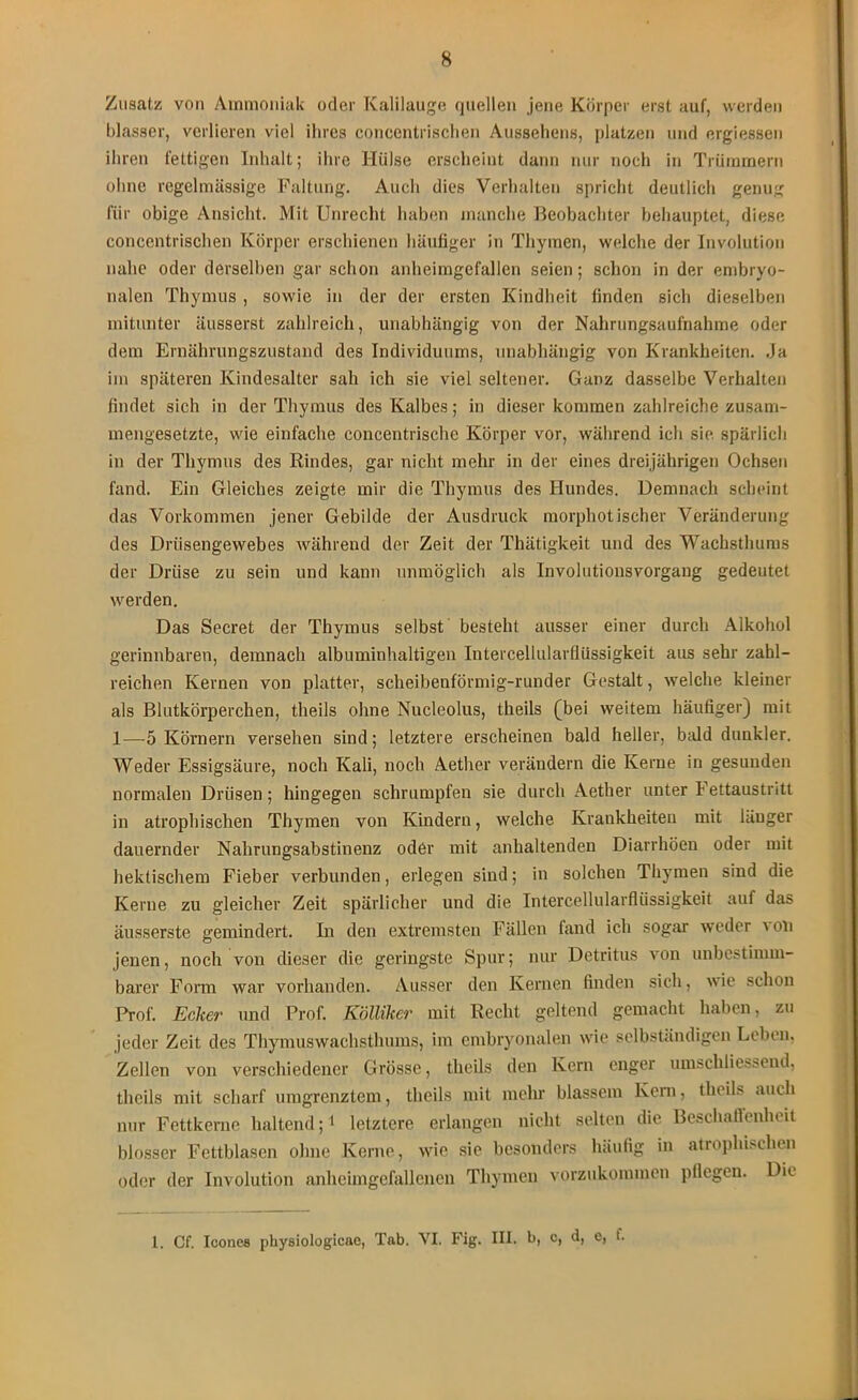 Zusatz von Ammoniak oder Kalilauge quellen jene Körper erst auf, werden blasser, verlieren viel ihres concentrischen Aussehens, platzen und ergiessen ihren fettigen Inhalt; ihre Hülse erscheint dann nur noch in Trümmern ohne regelmässige Faltung. Auch dies Verhalten spricht deutlich genug für obige Ansicht. Mit Unrecht haben manche Beobachter behauptet, diese concentrischen Körper erschienen häufiger in Thymen, welche der Involution nahe oder derselben gar schon anheimgefallen seien; schon in der embryo- nalen Thymus , sowie in der der ersten Kindheit finden sich dieselben mitunter äusserst zahlreich, unabhängig von der Nahrungsaufnahme oder dem Ernährungszustand des Individuums, unabhängig von Krankheiten. .Ja im späteren Kindesalter sah ich sie viel seltener. Ganz dasselbe Verhalten findet sich in der Thymus des Kalbes; in dieser kommen zahlreiche zusam- mengesetzte, wie einfache conceutrische Körper vor, während ich sie spärlich in der Thymus des Rindes, gar nicht mehr in der eines dreijährigen Ochsen fand. Ein Gleiches zeigte mir die Thymus des Hundes. Demnach scheint das Vorkommen jener Gebilde der Ausdruck morphotischer Veränderung des Drüsengewebes während der Zeit der Thätigkeit und des Wachsthums der Drüse zu sein und kann unmöglich als Involutionsvorgang gedeutet werden. Das Secret der Thymus selbst besteht ausser einer durch Alkohol gerinnbaren, demnach albuminhaltigen Intercellularflüssigkeit aus sehr zahl- reichen Kernen von platter, scheibenförmig-runder Gestalt, welche kleiner als Blutkörperchen, theils ohne Nucleolus, theils (bei weitem häufiger) mit 1—-5 Körnern versehen sind; letztere erscheinen bald heller, bald dunkler. Weder Essigsäure, noch Kali, noch Aether verändern die Kerne in gesunden normalen Drüsen; hingegen schrumpfen sie durch Aether unter Iettaustritt in atrophischen Thymen von Kindern, welche Krankheiten mit länger dauernder Nahrungsabstinenz oder mit anhaltenden Diarrhöen oder mit hektischem Fieber verbunden, erlegen sind; in solchen Thymen sind die Kerne zu gleicher Zeit spärlicher und die Intercellularflüssigkeit auf das äusserste gemindert. In den extremsten Fällen fand ich sogar weder \ on jenen, noch von dieser die geringste Spur; nur Detritus von unbestimm- barer Form war vorhanden. Ausser den Kernen finden sich, wie schon Prof. Ecker und Prof. Kölliker mit Recht geltend gemacht haben, zu jeder Zeit des Thymuswachsthums, im embryonalen wie selbständigen Leben, Zellen von verschiedener Grösse, theils den Kern enger umschliessend, theils mit scharf umgrenztem, theils mit mehr blassem Kern, theils auch nur Fettkerne haltend;1 letztere erlangen nicht selten die Beschallenheit blosser Fettblascn ohne Kerne, wie sie besonders häufig in atrophischen oder der Involution anheimgefallenen Thymen vorzukommen pflegen. Die l. Cf. Icones physiologicae, Tab. VI. Fig. III. b, c, d, e, t.