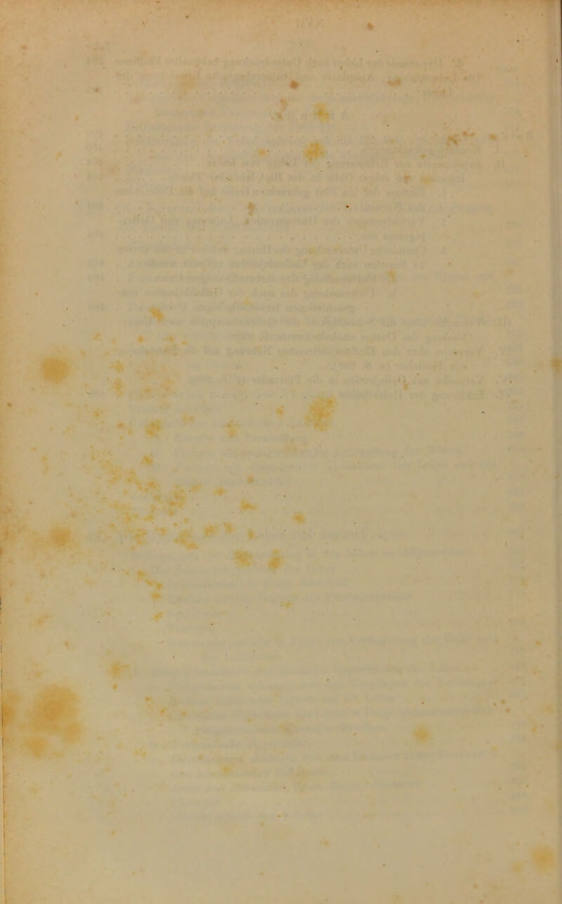 « * *•> * ■t •» ■ . *• • V • ' • 1 * • - 1 - % #