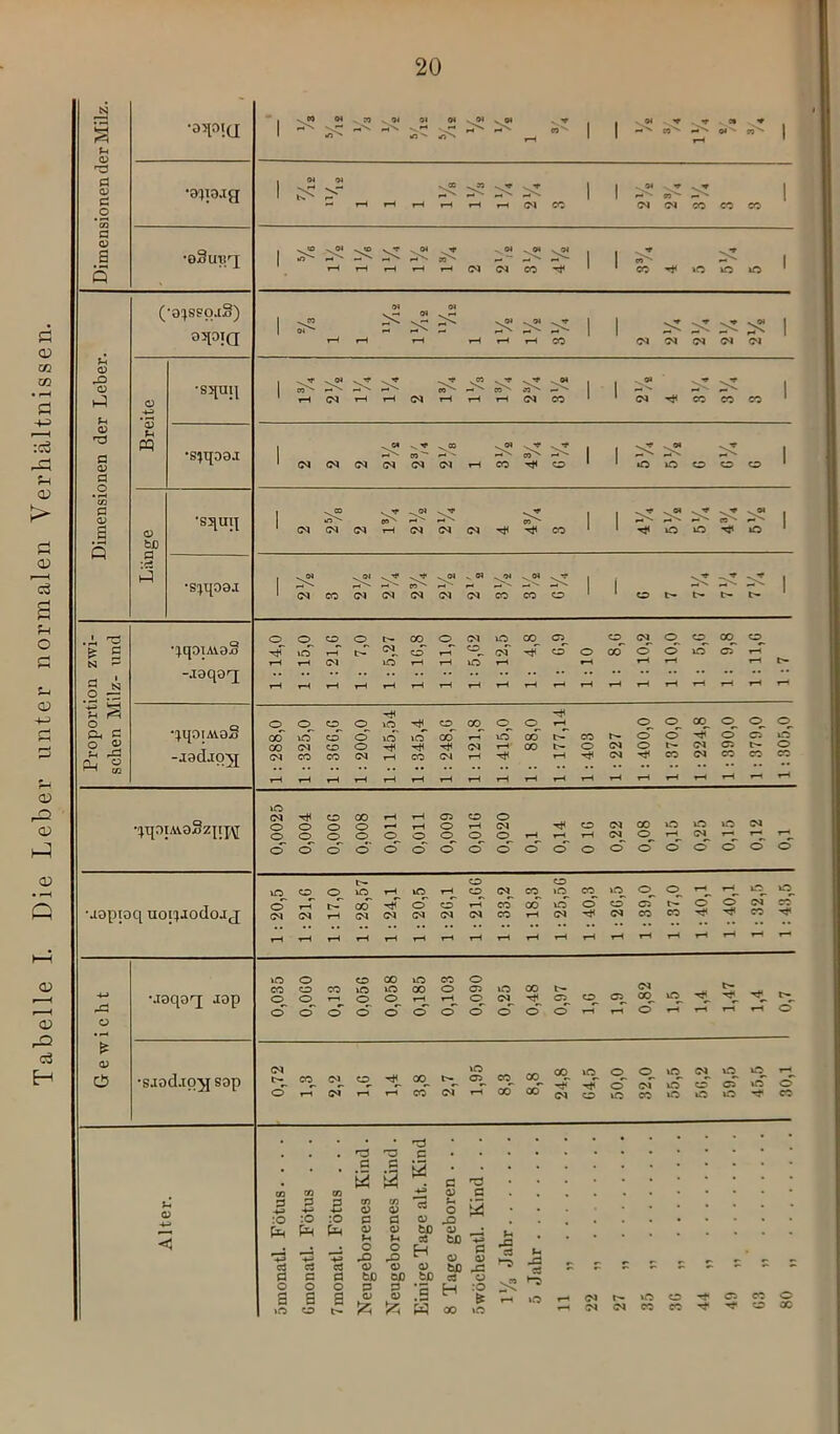 Tabelle I. Die Leber unter normalen Verhältnissen. u 'fl fl <u fl .2 *CO fl CU a cu rO cu <U *fl fl o> fl .o *cß fl OJ •D>pt(J •a^iojg •o3in?/j (*o^s?o»[S) <U u •S^UJl •sppaj M w ^ yW Ol i'b' *nv H Ol Ol rH rH rH CM CO CM <M CO CO CO 1 . Ol ’f so'- ^04 y Ol y^OI 1 1 -y^T | Ol 01 1 v^eo ©l y^OI 1 1 y^f yt ! .Ol y H yH yCO y/f y^H - 04 Ol yV 1 co^ fN r<X C0V' r-«- CO^ CO^ — 1 H ^ 1 co co^ 1 1 rN 1 1 yffl _OI y^H 1 1 y 04 y^ I 1 y^1 . « j 1 y^ ♦ y^f | o o. co 7,0 ec. O. CM iß^ 00. o. o csi o o. 9,8 cr> o. 00 O. xO CO o o iß^ cq_ co cq. O. irT o. co rH CO cT cT 00. O. o o. cT o irT cm o Ol r-t co t— o (M o t'- (M 05 o CM co CO (M rH CO (M rH rH <M co CM CO co ‘SqUIJ •s^ipöJ £ S t § o o. fl ° 2 ’r-i fA P_, ü ^ CO -.xaqo'q qqoiAvoS -.iad.iq\j qqDiAioSz[i];\[ »o CM CO CO rH rH 05 CO O OOOO*— rH O rH CM 00000.00.0.0.^.^. cTö'o'ö'cToo'o'cro^cro oööoooo 'rfCOCMCCiOißiOM rHrH(MOrH<Mr-«r- Mopioq uorpodojj rfl ü <u 0 •joqoq; lop iß cD o t“ iß rH iß rH CO <M co iß co ißF o. O H rH iß iß^ o CO rH CO 00 iß o co 05 o d* oT CO (M (M rH CM (M CM (M CM CO rH CM r* <M CO CO CO rH rH rH rH rH rH rH rH rH rH rH rH rH rH rH rH rH »H iß o CO 00 iß CO O CO o CO iß CO o 05 iß 00 tH o o O O rH rH o CM 05 CO 05 cT o o o cT cT d d d d d rH r-H O rH rH rH rH <d •saodjq^j sop CM co. cm. Or h ci 00. t-. H CO W »o o co co oq iß. o. o iß CM iß iß. tjT cT oT irT co' cT \S CM co iß co iß iß iß o co fl fl p +> c :0 :0 :0 fl fl fl C o o a a iß 'fl • • r3 c • fl Q 3 ö fl 'fl co Ü co a> —i 13 CU O c p fl CU fP (1) cu bß 0) u O rO CU u o fO <u c3 H <U bß <u bß c CU -fl rfl fl hßi Jl r. F- F- r bß Oß bß fl o _ fl fl r— H :0 o <U H fH iß r-» CM iß CO 05 CO co ^ \Z{ W 00 »fl !N iN « « O oc