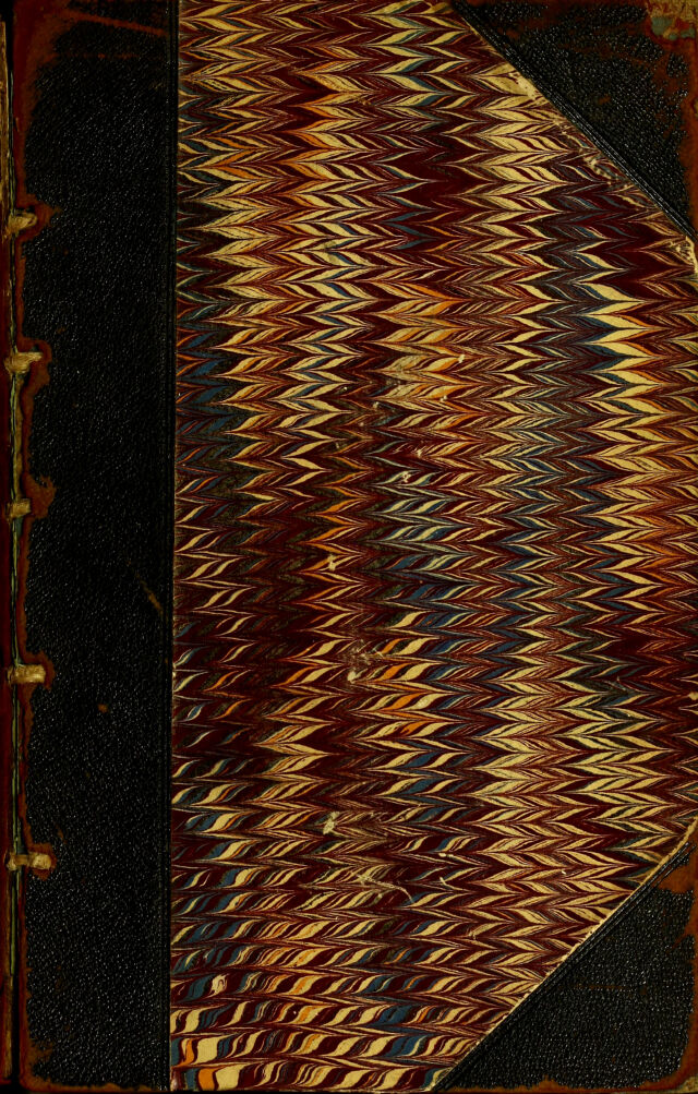 No text description is available for this image