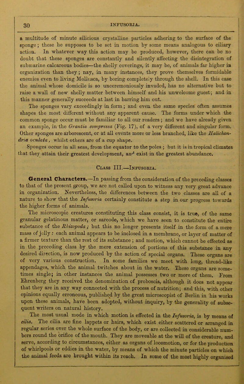 a multitude of minute silicious crystalline particles adhering to the surface of the sponge ; these he supposes to he set in motion by some means analogous to ciliary action. In whatever way this action may be produced, however, there can be no doubt that these sponges are constantly and silently affecting the disintegration of submarine calcareous bodies—the shelly coverings, it may be, of animals far higher in organization than they; nay, in many instances, they prove themselves formidable enemies even to living Moliusca, by boring completely through the shell. In this case the animal whose domicile is so unceremoniously invaded, has no alternative but to raise a wall of new shelly matter between himself and his unwelcome guest; and in this manner generally succeeds at last in barring him out. The sponges vary exceedingly in form; and even the same species often assumes shapes the most different without any apparent cause. The forms under which the common sponge occur must be familiar to all our readers ; and we have already given an example, in the Grantia compressa (Fig. 17), of a very different and singular form. Other sponges are arborescent, or at all events more or less branched, like the Halichon- dria oculata, whilst others are of a cup shape. Sponges occur in all seas, from the equator to the poles ; but it is in tropical climates that they attain their greatest development, an'1 exist in the greatest abundance. Class III.—Infusoria. General Characters.—In passing from the consideration of the preceding classes to that of the present group, we are not called upon to witness any very great advance in organization. Nevertheless, the differences between the two classes are all of a nature to show that the Infusoria certainly constitute a step in our progress towards the higher forms of animals. The microscopic creatures constituting this class consist, it is true, of the same granular gelatinous matter, or sarcode, which we have seen to constitute the entire substance of the Rhizopoda ; but this no longer presents itself in the form of a mere mass of jelly : each animal appears to be inclosed in a membrane, or layer of matter of a firmer texture than the rest of its substance ; and motion, which cannot be effected as in the preceding class by the mere extension of portions of this substance in any desired direction, is now produced by the action of special organs. These organs are of very various construction. In some families we meet with long, thread-like appendages, which the animal twitches about in the water. These organs are some- times single; in other instances the animal possesses two or more of them. From Ehrenberg they received the denomination of proboscis, although it does not appear that they are in any way connected with the process of nutrition; and this, with other opinions equally erroneous, published by the great microscopist of Berlin in his works upon these animals, have been adopted, without inquiry, by the generality of subse- quent writers on natural history. The most usual mode in which motion is effected in the Infusoria, is by means of cilia. The cilia are fine lappets or hairs, which exist either scattered or arranged in regular series over the whole surface of the body, or are collected in considerable num- bers round the orifice of the mouth. They are moveable at the will of the creature, and serve, according to circumstances, either as organs of locomotion, or for the production of whirlpools or eddies in the water, by means of which the minute particles on which the animal feeds are brought within its reach. In some of the most highly organised
