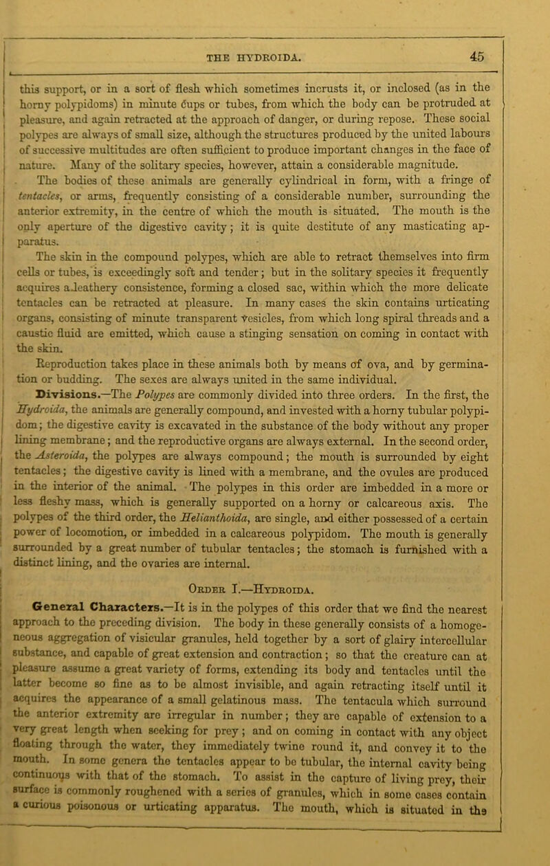 this support, or in a sort of flesh which sometimes incrusts it, or inclosed (as in the horny polypidoms) in minute dups or tubes, from which the body can be protruded at pleasure, and again retracted at the approach of danger, or during repose. These social polypes are always of small size, although the structures produced by the united labours of successive multitudes are often sufficient to produce important changes in the face of nature. Many of the solitary species, however, attain a considerable magnitude. The bodies of these animals are generally cylindrical in form, with a fringe of tentacles, or arms, frequently consisting of a considerable number, surrounding the anterior extremity, in the centre of which the mouth is situated. The mouth is the only aperture of the digestive cavity; it is quite destitute of any masticating ap- | paratus. The skin in the compound polypes, which are able to retract themselves into firm cells or tubes, is exceedingly soft and tender; but in the solitary species it frequently acquires aieathery consistence, forming a closed sac, within which the more delicate tentacles can be retracted at pleasure. In many cases the skin contains urticating organs, consisting of minute transparent vesicles, from which long spiral threads and a caustic fluid are emitted, which cause a stinging sensation on coming in contact with the skin. Keproduetion takes place in these animals both by means of ova, and by germina- tion or budding. The sexes are always united in the same individual. Divisions.—The Polypes are commonly divided into three orders. In the first, the ITydroida, the animals are generally compound, and invested with a homy tubular polypi- dom; the digestive cavity is excavated in the substance of the body without any proper lining membrane; and the reproductive organs are always external. In the second order, the Asteroida, the polypes are always compound; the mouth is surrounded by eight tentacles; the digestive cavity is lined with a membrane, and the ovules are produced in the interior of the animal. The polypes in this order are imbedded in a more or les3 fleshy mass, which is generally supported on a horny or calcareous axis. The polypes of the third order, the Selianthoida, are single, and either possessed of a certain power of locomotion, or imbedded in a calcareous polypidom. The mouth is generally surrounded by a great number of tubular tentacles; the stomach is furnished with a distinct lining, and the ovaries are internal. Order I.—Hydroida. General Characters.—It is in the polypes of this order that we find the nearest approach to the preceding division. The body in these generally consists of a homoge- neous aggregation of visicular granules, held together by a sort of glairy intercellular substance, and capable of great extension and contraction; so that the creaturo can at pleasure assume a great variety of forms, extending its body and tentacles until the latter become so fine as to be almost invisible, and again retracting itself until it acquires the appearance of a small gelatinous mass. The tentacula which surround the anterior extremity arc irregular in number; they are capable of extension to a very great length when seeking for prey ; and on coming in contact with any object floating through tho water, they immediately twine round it, and convey it to the mouth. In some genera tho tentacles appear to bo tubular, the internal cavity being continuous with that of the stomach. To assist in tho capturo of living prey, their Burface is commonly roughened with a series of granules, which in somo cases contain a curious poisonous or urticating apparatus. Tho mouth, which is situatod in th9