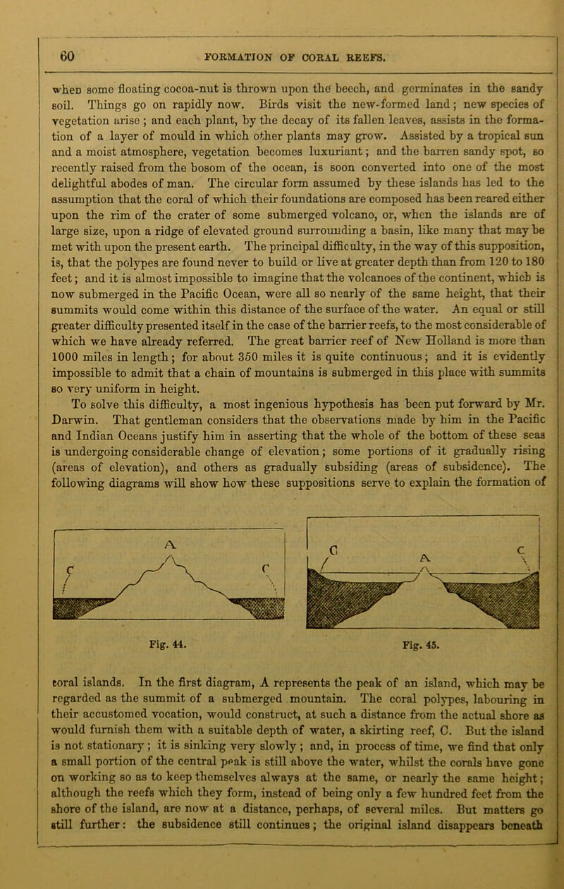 wheD some floating cocoa-nut is thrown upon the beech, and germinates in the sandy soil. Things go on rapidly now. Birds visit the new-formed land; new species of vegetation arise ; and each plant, hy the decay of its fallen leaves, assists in the forma- tion of a layer of mould in which other plants may grow. Assisted hy a tropical sun and a moist atmosphere, vegetation becomes luxuriant; and the barren sandy spot, so recently raised from the bosom of the ocean, is soon converted into one of the most delightful abodes of man. The circular form assumed by these islands has led to the assumption that the coral of which their foundations are composed has been reared either upon the rim of the crater of some submerged volcano, or, when the islands are of large size, upon a ridge of elevated ground surrounding a basin, like many that may he met with upon the present earth. The principal difficulty, in the way of this supposition, is, that the polypes are found never to build or live at greater depth than from 120 to 180 feet; and it is almost impossible to imagine that the volcanoes of the continent, which is now submerged in the Pacific Ocean, were all so nearly of the same height, that their summits would come within this distance of the surface of the water. An equal or still greater difficulty presented itself in the case of the harrier reefs, to the most considerable of | which we have already referred. The great barrier reef of New Holland is more than 1000 miles in length; for about 350 miles it is quite continuous; and it is evidently { impossible to admit that a chain of mountains is submerged in this place with summits so very uniform in height. To solve this difficulty, a most ingenious hypothesis has been put forward hy Mr. Darwin. That gentleman considers that the observations made by him in the Pacific and Indian Oceans justify him in asserting that the whole of the bottom of these seas is undergoing considerable change of elevation; some portions of it gradually rising (areas of elevation), and others as gradually subsiding (areas of subsidence). The following diagrams will show how these suppositions serve to explain the formation of Fig. 44. Fig. 45. eoral islands. In the first diagram, A represents the peak of an island, which may he regarded as the summit of a submerged mountain. The coral polypes, labouring in their accustomed vocation, would construct, at such a distance from the actual shore as would furnish them with a suitable depth of water, a skirting reef, C. But the island is not stationary ; it is sinking very slowly ; and, in process of time, we find that only a small portion of the central peak is still above the water, whilst the corals have gone on working so as to keep themselves always at the same, or nearly the same height; although the reefs which they form, instead of being only a few hundred feet from the shore of the island, are now at a distance, perhaps, of several miles. But matters go still further: the subsidence still continues; the original island disappears beneath