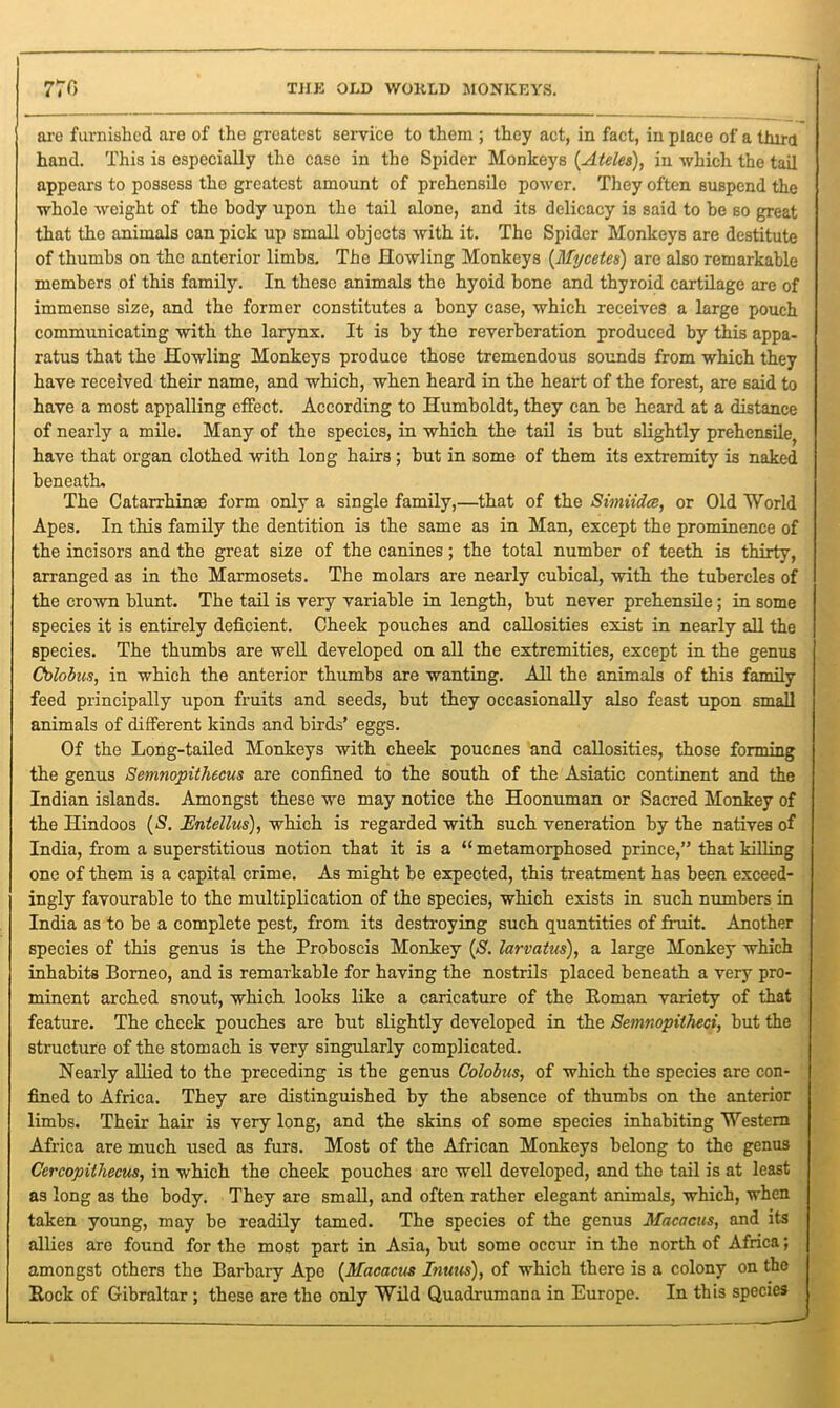 770 THK OLD WORLD MONKEYS. are furnished are of the greatest service to them ; they act, in fact, in place of a third hand. This is especially the case in the Spider Monkeys (.Atelea), in which, the tail appears to possess tho greatest amount of prehensile power. They often suspend the whole weight of tho body upon the tail alone, and its delicacy is said to he so great that the animals can pick up small objects with it. The Spider Monkeys are destitute of thumbs on the anterior limbs. The Howling Monkeys (Mycetes) are also remarkable members of this family. In these animals the hyoid bone and thyroid cartilage are of immense size, and the former constitutes a bony case, which receives a large pouch communicating with the larynx. It is by the reverberation produced by this appa- ratus that the Howling Monkeys produce those tremendous sounds from which they have received their name, and which, when heard in the heart of the forest, are said to have a most appalling effect. According to Humboldt, they can be heard at a distance of nearly a mile. Many of the species, in which the tail is but slightly prehensile, have that organ clothed with long hairs; but in some of them its extremity is naked beneath. The Catarrhinse form only a single family,—that of the Simiidce, or Old World Apes. In this family the dentition is the same as in Man, except the prominence of the incisors and the great size of the canines; the total number of teeth is thirty, arranged as in the Marmosets. The molars are nearly cubical, with the tubercles of the crown blunt. The tail is very variable in length, but never prehensile; in some species it is entirely deficient. Cheek pouches and callosities exist in nearly all the species. The thumbs are well developed on all the extremities, except in the genus Cblobus, in which the anterior thumbs are wanting. All the animals of this family feed principally upon fruits and seeds, but they occasionally also feast upon small animals of different kinds and birds’ eggs. Of the Long-tailed Monkeys with cheek pouenes and callosities, those forming the genus Semnopithecus are confined to the south of the Asiatic continent and the Indian islands. Amongst these we may notice the Hoonuman or Sacred Monkey of the Hindoos (S. JEntellus), which is regarded with such veneration by the natives of India, from a superstitious notion that it is a “ metamorphosed prince,” that killing one of them is a capital crime. As might be expected, this treatment has been exceed- ingly favourable to the multiplication of the species, which exists in such numbers in India as to be a complete pest, from its destroying such quantities of fruit. Another species of this genus is the Proboscis Monkey (S. larvatus), a large Monkey which inhabits Borneo, and is remarkable for having the nostrils placed beneath a very pro- minent arched snout, which looks like a caricature of the Roman variety of that feature. The cheek pouches are but slightly developed in the Semnopitheci, but the structure of the stomach is very singularly complicated. Nearly allied to the preceding is the genus Colobus, of which the species are con- fined to Africa. They are distinguished by the absence of thumbs on the anterior limbs. Their hair is very long, and the skins of some species inhabiting Western Africa are much used as furs. Most of the African Monkeys belong to the genus Cercopithecus, in which the cheek pouches are well developed, and the tail is at least as long as the body. They are small, and often rather elegant animals, which, when taken young, may be readily tamed. The species of the genus Macacus, and its allies are found for the most part in Asia, but some occur in the north of Africa; amongst others the Barbary Ape (Macacus Inuus), of which there is a colony on the Rock of Gibraltar ; these are the only Wild Quadrumana in Europe. In this species