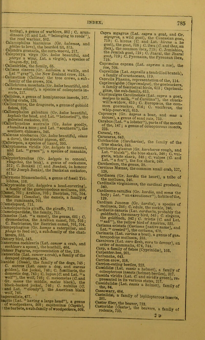 terms), a genus of warblers, 582 ; C, arun- dinacea (C. and Lat. “ belonging to reeds”), the reed warbler, 582. Calamophilus biarmicus (Gr. kalamos, and phileo to love), the bearded tit, 575. Calandra granaria, the corn-weevil, 217. Calepteryx virgo (Gr. kalos beautiful, and pteryx a wing, Lat. a virgin), a species of dragon-fly, 1»2. Calianiridae, the family, G5. Callmas cinerea (Gr. 'kallaion a wattle, and Lat “ gray”), the New Zealand crow, 524. Call®atin® (Ccillccas) the tree crows, a sub- family of the crows, 524. Callichroma moschata (Gr. kalos beautiful, and chroma colour), a species of coleopteris in- sects, 217. Callide®, a genus of hemipterous insects, 167. Calling crabs, 129. Calliouymus, the dragonets, a genus of gobioid fishes, 326. Callocephalon galcatum (Gr. kalos beautiful, kephale the head, and Lat. “helmeted”), the galeated cockatoo, 510. Callorhynchus australis (Gr. kalos goodly, rhunchos a nose ; and Lat. “southern”), the southern chimsera, 346. Calmnas nicobanca (Gr. kalos beautifu), ottias a dove), the nicobar pigeon, 497. Caltetepon, a species of lizard, 393. ' Calyptomena viridis (Gr.kalypto to conceal, and Lat. “green”), a species of manakin, 000. alyptorhynchus (Gr. kalypto to conceal, rhugchos, the beak), a genus of cockatoos, ol2; C. Banksii (C. and Banksii, in honour of Sir Joseph Banks), the Banksian cockatoo, 511. tOalymene Blumenbnchii, a genus of fossil Tri- lobites, 116. C^alyptraeid® (Gr. kalypira a head-covering), a family of the gasteropodous mollusca, 258. ..amel, 701; Arabian, 703 ; Bactrian, 701, 704. ^amelia® (Camelus), the camels, a family of the ruminants, 701. : Camelopard, 711. Camelopardalis giraffa, the giraffe, 711.  Camelopardid®, the family, 711. L Camelus (Lat. “a camel), the genus, 601; C dromedarius, the Arabian camel, 701, 703 ; C. Bactrianus, the Bactrian camel, 701, 704. ' !ampephagin® (Gr. kampe a caterpillar, and phago to feed on), a sub-fnmily of the chat- terers, 552. ' Canary bird, 543. ' ancroma cochlearia (Lat. cancer a crab, and cochleare a spoon), theboatbill, 464. ' ’ancer Pagurus, representation of the, 128. ancerid® (Lat. cancer a crab), a family of the decapod Crustacea, 428. anid® (Cants), the family of the dogs, 745; C. aureus (Lat. canis a dog, and aureus golden), the jackal, 716; C. familiaris, the domestic dog, 745 ; C. lupus (C. and Lat. “a wolf”), the wolf, 746; C. mcsomelas (C. and Gr. mesos the middle, melas black), the black-backed jackal, 746; C. nubilus (C. and Lat. “cloudy”), the American black wolf, 746. • apercailzie, 477. ‘lapito (Lat. “ having a large head”), a genus of woodpeckers, 509; capitonin® (Capito), the barbets, a sab-family of woodpeckers, 609. Capra rogagrus (Lat. capra a goat, and Gr atffagros a wild goat), the Caucasian goal! 719; C. hircus (C. and Lat. hircus a he goat), the goat, 718 ; C. ibex (C. and ibex, an ibex), the common ibex, 719; C. Jemlahica, the Jem ah goat, 719 ; C. Jharal, the Jharal 71*9 ’ ’ C- Pyrenaica, the Pyrenean ibex, Capr®olus caprma (Lat. caprcca a roe), the roe, /09. n Caprellid® (Lat. caprella a tendrilled branch). a family of crustaceans, 119. Caprella Phasma, representation of the, 114 Caprimulgid® (Caprimulyus), the goatsuckers, st family of hssirostral birds, 613 ; Caprimull gin®, the sub-family, 613. 1 Caprimulgus Carolinensis (Lat. capra a coat mulgco to milk, “ of Carolina”), the chuck! wdl s-widow, 615 ; C. Europmus, the com- mon goatsucker, 614; C. vociferus, the whip-poor-will, 615. Capromys (Gr. kapros a boar, and mus a mouse), a genus of sand rats, 735. Ca^rtK S “ a lobster”)-Parts of the mouth ot the, 147 ; a genus of coleopterous insects, Caracal, 75i. Caracaras, 643. Carcharid® (Carcharias), the family of the true sharks, 343. Carcharias glaucus (Gr. karcharos rough, and Lat. bluish ’), the blue shark, 348 ; c! vul- ?at1S’«Wl/lte„Sw^k’ 348 ’ C. Yulpes (C. and Lat. a fox ), the fox shark, 349. Carchesium, the genus, 38. Cai28nUS MaBnas’ the common small crab, 127, Cardiacea (Gr. kardia the heart), a tribe of the mollusca, 246. 1 Carfinaiis virginianus, the cardinal grosbeak, Cwt°“aC»ar»ifex (Gr‘ kardia' and soma the body, xat. “ail executioner”), habits of the, C^u^JUo??a3^Gr' lcardia)i a species of mollusca, 246 ; C. edule, the cockle, 246. Ca™iHfiifnMn?iria ^Latl cnrducljs, probably the goldfinch), the canary bird, 543 ; C. eleeans “Sead”) thnh’ fl42:v‘,triSti8 {C- and Lat! sad ), the yellow bird of America, 551. CaTnama ^U lCanama [native name], and Lat. “ crested”), the cariama, 470. Carinana (Lat. carina a boat), a genus of gas- teropodous mollusca, 255. ^ or™ tST ,0 aerou,)’ “ (CyP™ld»>’ '<”■ Carrancha, 643. Carrion crow, 518. Carrion-eating beetles, 223. Ca™i™d? (Lat- Cassis a helmet), a family of coleopterous insects (helmet-beetles) 217 Cassida viridis (Lat. C. and mWrf/, green) re presented in its various states, 217. ’ the?84 ( t CaSSi3 a hclmet). family of Cassowary, 484. CMtniid®, a family of lepidopterous inserts, Castor fiber, the beaver, 733 C‘SX ““ b“™. » of 2 D