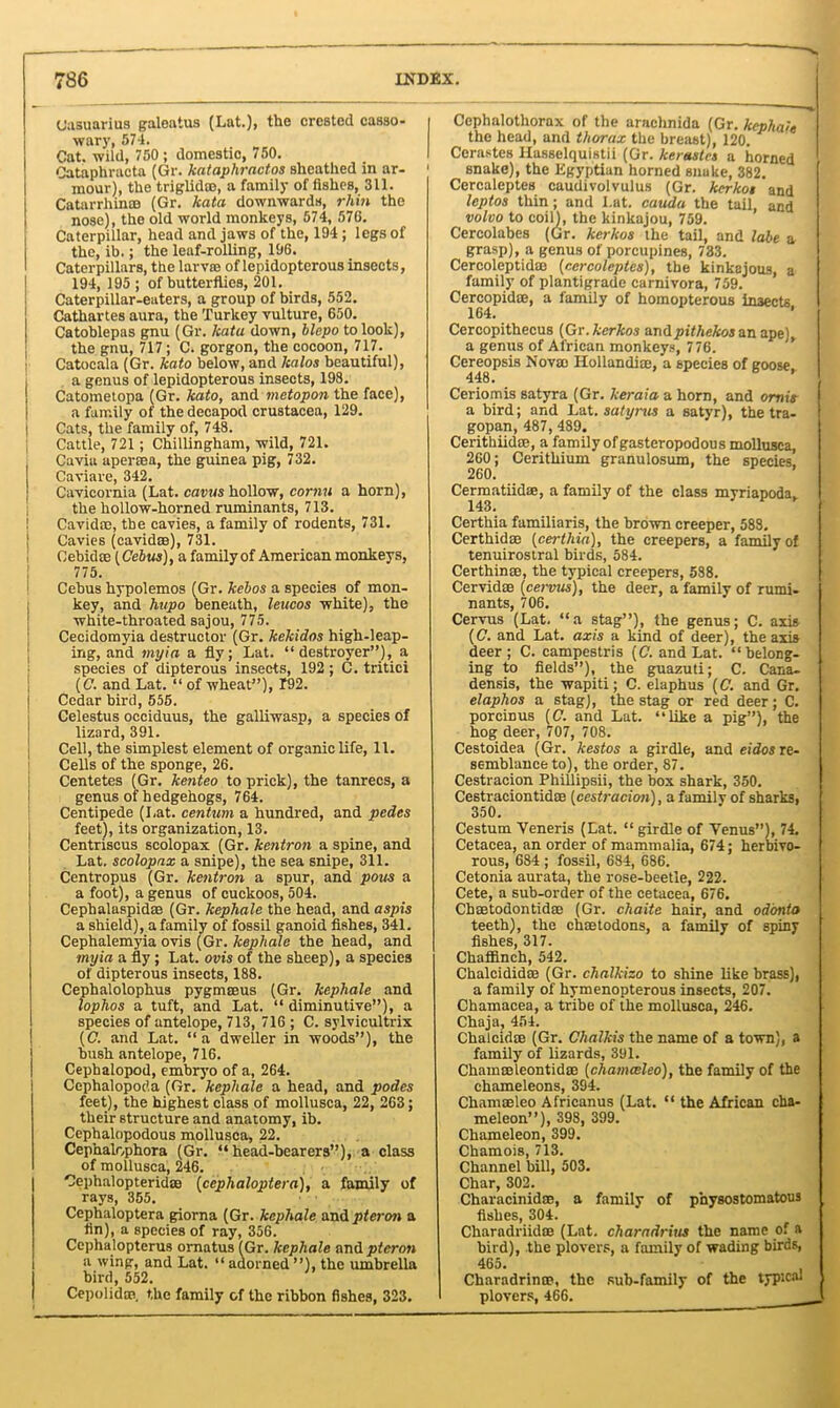 786 INDEX. Uasuarius galeatus (Lat.), the crested casso- wary, 574. Cat. wild, 750 ; domestic, 750. Cataphracta (Gr. kataphractos sheathed in ar- mour), the triglidce, a family of fishes, 311. Catarrhinee (Gr. kata downwards, rhin the nose), the old world monkeys, 574, 576. Caterpillar, head and jaws of the, 194; legs of the, ib.; the leaf-rolling, 196. Caterpillars, tbe larva) of lepidoptcrous insects, 194, 195 ; of butterflies, 201. Caterpillar-eaters, a group of birds, 552. Cathartes aura, the Turkey vulture, 650. Catoblepas gnu (Gr. kata down, blepo to look), the gnu, 717 ; C. gorgon, the cocoon, 717. Catocala (Gr. kato below, and halos beautiful), a genus of lepidopterous insects, 198. Catometopa (Gr. kato, and metopon the face), a family of the decapod Crustacea, 129. Cats, the family of, 748. Cattle, 721; Chillingham, wild, 721. Cavia apertea, the guinea pig, 732. Caviare, 342. Cavieornia (Lat. cavus hollow, cornu a horn), the hollow-horned ruminants, 713. | Cavid®, tbe cavies, a family of rodents, 731. | Cavies (cavidse), 731. . Cebidte [Cebus], a family of American monkeys, 775. Cebus hypolemos (Gr. kebos a species of mon- key, and httpo beneath, leucos white), the white-throated sajou, 775. Cecidomyia destructor (Gr. kekidos high-leap- ing, and my in a fly; Lat. “destroyer”), a species of dipterous insects, 192; C. tritici (C. and Lat. “ of wheat”), T92. Cedar bird, 555. Celestus occiduus, the galliwasp, a species of lizard, 391. Cell, the simplest element of organic life, 11. Cells of the sponge, 26. Centetes (Gr. kenteo to prick), the tanrecs, a genus of hedgehogs, 764. Centipede (Lat. centum a hundred, and pedes feet), its organization, 13. Centriscus scolopax (Gr. kentron a spine, and Lat. scolopax a snipe), the sea snipe, 311. Centropus (Gr. kentron a spur, and pons a a foot), a genus of cuckoos, 504. Cephalaspidte (Gr. kephale the head, and aspis a shield), a family of fossil ganoid fishes, 341. Cephalemyia ovis (Gr. kephale the head, and myia a fly ; Lat. ovis of the sheep), a species of dipterous insects, 188. Cephalolophus pygmeeus (Gr. kephale and lophos a tuft, and Lat. “ diminutive”), a species of antelope, 713, 716 ; C. sylvicultrix (C. and Lat. “a dweller in woods”), the bush antelope, 716. Cephalopod, embryo of a, 264. Cephalopoda (Gr. kephale a head, and podes feet), the highest class of mollusca, 22, 263; their structure and anatomy, ib. Cephalopodous mollusca, 22. Cephaiophora (Gr. “head-bearers”), a class of mollusca, 246. CephalopteridaB (cephaloptera), a family of rays, 355. Cephaloptera giorna (Gr. kephale and pier on a fin), a species of ray, 356. Cephalopterus ornatus (Gr. kephale and ptcron a wing, and Lat. “ adorned ”), the umbrella bird, 552. Cepolidoe. the family of the ribbon fishes, 323. Cephalothorax of the arachnida (Gr. kephale the head, and thorax the breast), 120. Cerastes Hasselquistii (Gr. kerastes a horned snake), the Egyptian horned snake, 382. Cercaleptes caudivolvulus (Gr. kerkoi and leptos thin; and Lat. cauda the tail, and volvo to coil), the kinkajou, 759. Cercolabes (Gr. kerkos the tail, and lobe a grasp), a genus of porcupines, 733. Cercoleptidie (cercoleptes), the kinkajous, a family of plantigrade carnivora, 759. CercopidiE, a family of homopterous inaects 164. Cercopithecus (Gr.kerkos pithekos an ape) a genus of African monkeys, 776. Cereopsis Nov® Hollandice, a species of goose 448. ’ Ceriomis satyra (Gr. keraia a horn, and omit a bird; and Lat. satyrus a satyr), the tra- gopan, 487, 489. Cerithiidse, a family of gasteropodous mollusca, 260; Cerithium granulosum, the species. 260. Cermatiidae, a family of the class myriapoda. 143. Certhia familiaris, the brown creeper, 583. Certhidae [certhia), the creepers, a family of tenuirostral birds, 584. Certhinte, the typical creepers, 588. Cervidce (cervus), the deer, a family of rumi- nants, 706. Cervus (Lat. “a stag”), the genus; C. axis (C. and Lat. axis a kind of deer), the axis deer; C. campestris (C. and Lat. “belong- ing to fields”), the guazuti; C. Cana- densis, the wapiti; C. elaphus (C. and Gr. elaphos a stag), the stag or red deer; C. porcinus (C. and Lat. “like a pig”), the hog deer, 707, 708. Cestoidea (Gr. kestos a girdle, and eidos re- semblance to), the order, 87. Cestracion Phillipsii, the box shark, 350. Cestraciontidae (cestracion), a familv of sharks, 350. Cestum Yeneris (Lat. “ girdle of Venus”), 74. Cetacea, an order of mammalia, 674; herbivo- rous, 684 ; fossil, 684, 686. Cetonia aurata, the rose-beetle, 222. Cete, a sub-order of the cetacea, 676. Chaetodontidse (Gr. chaite hair, and odonta teeth), the chtetodons, a family of spiny fishes, 317. Chaffinch, 542. Chalcididae (Gr. chalkizo to shine like brass), a family of hymenopterous insects, 207. Chamacea, a tribe of the mollusca, 246. Chaja, 454. Chalcidte (Gr. Clialkis the name of a town), a family of lizards, 391. Chameeleontidse (chamceleo), the family of the chameleons, 394. Chamaeleo Africanus (Lat. “ the African cha- meleon”), 398, 399. Chameleon, 399. Chamois, 713. Channel bill, 503. Char, 302. Characinidce, a family of pnysostomatous fishes, 304. Charadriidae (Lat. charadrius the name of a bird), the plovers, a family of wading birds, 465. Charadrinoe, the sub-family of the typical plovers, 466. _